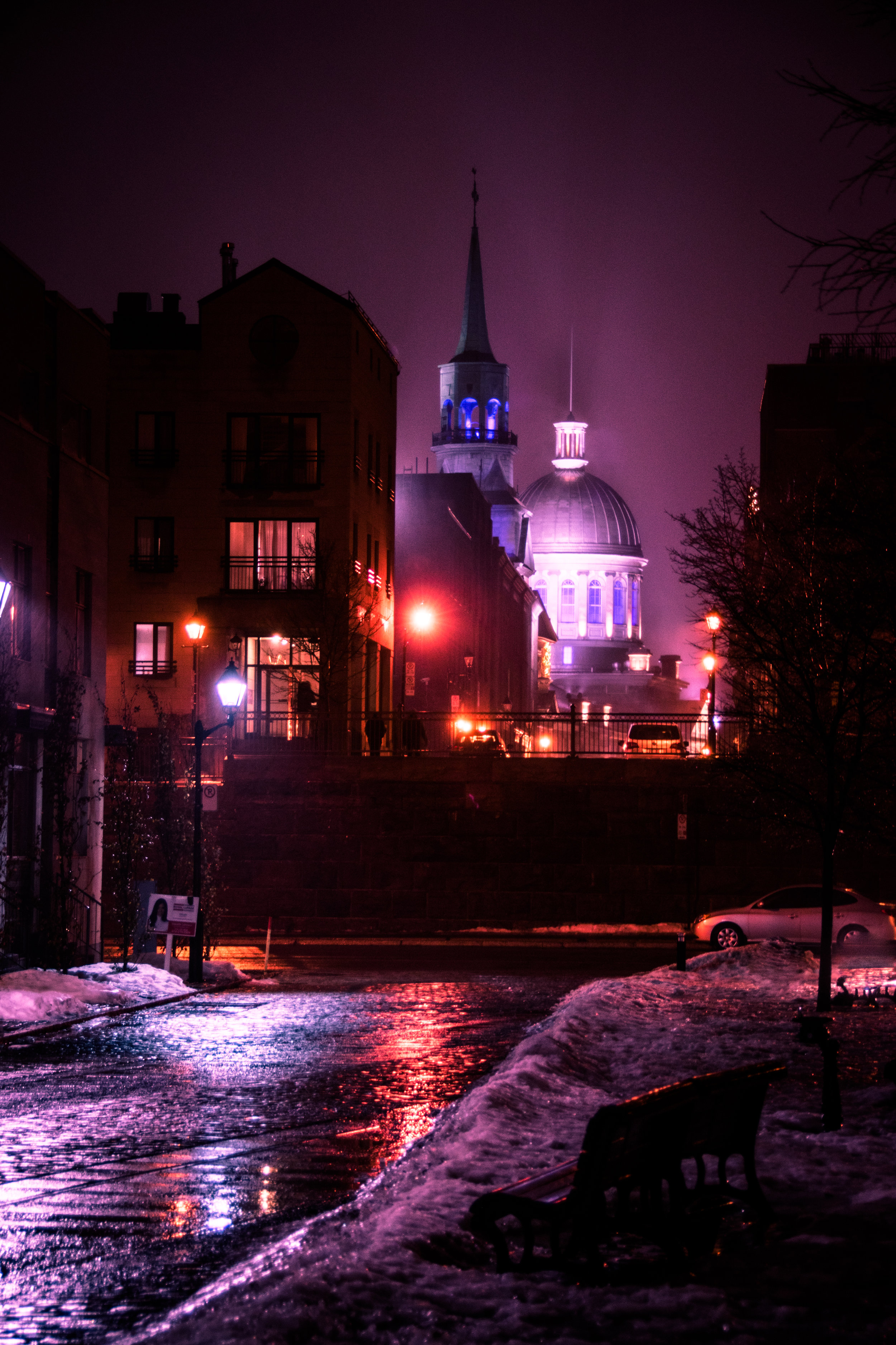 DSC_0826.JPG
