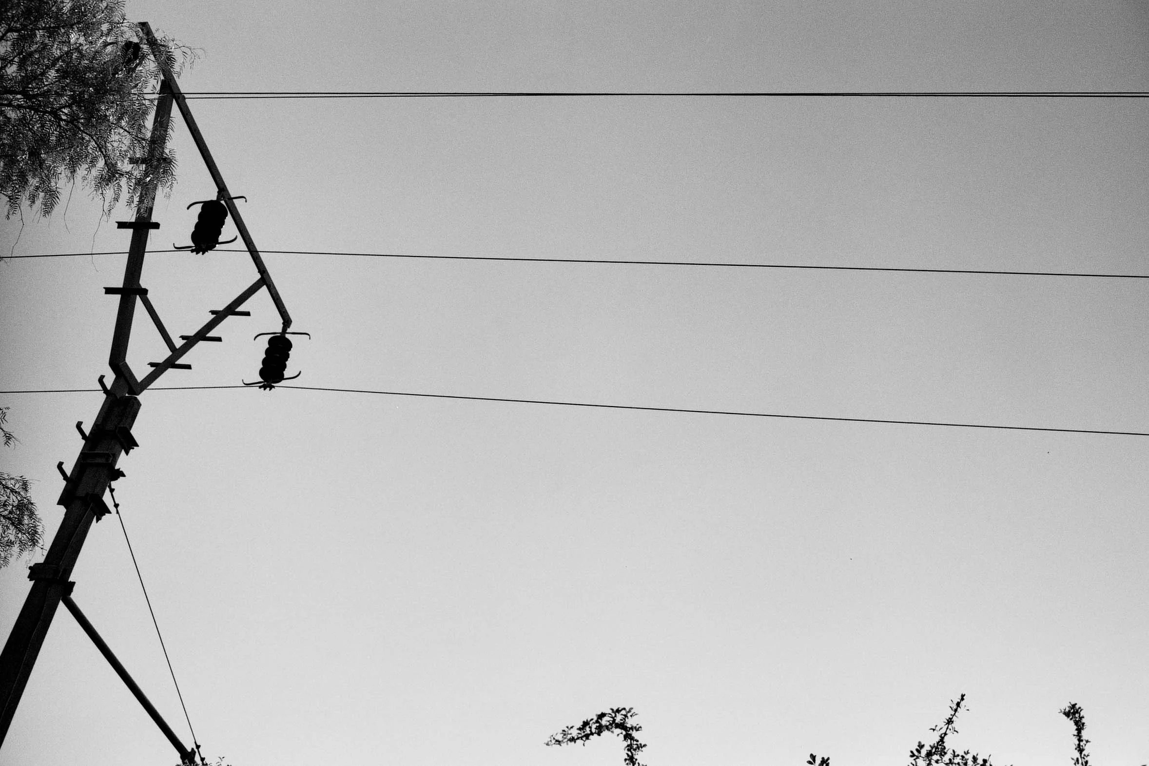 ninovalpiani.com_utility_poles_002.jpg