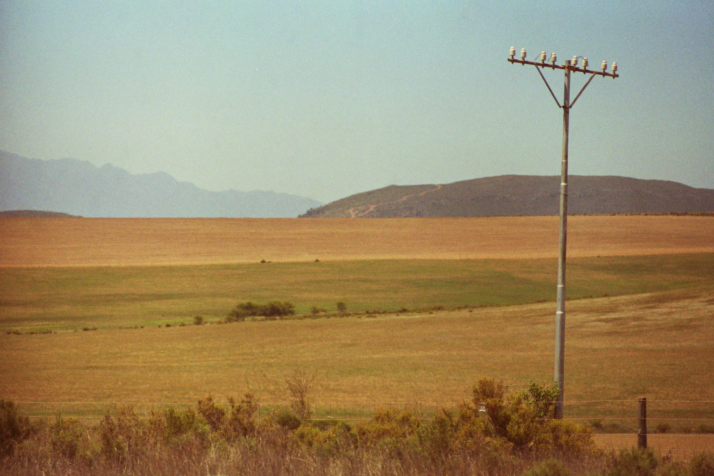 ninovalpiani.com_utility_poles_001.jpg