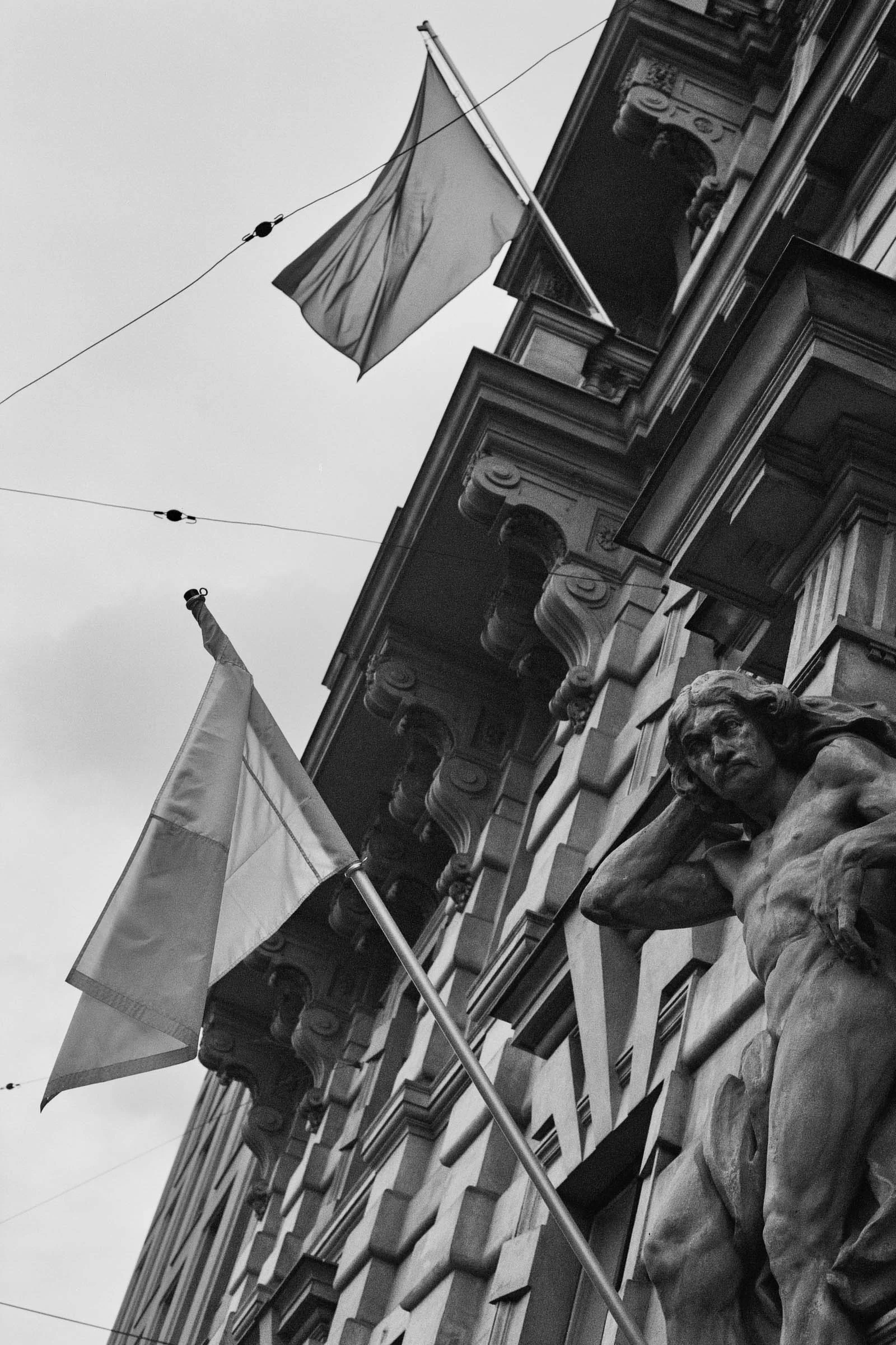 ninovalpiani.com_utility_poles_021.jpg