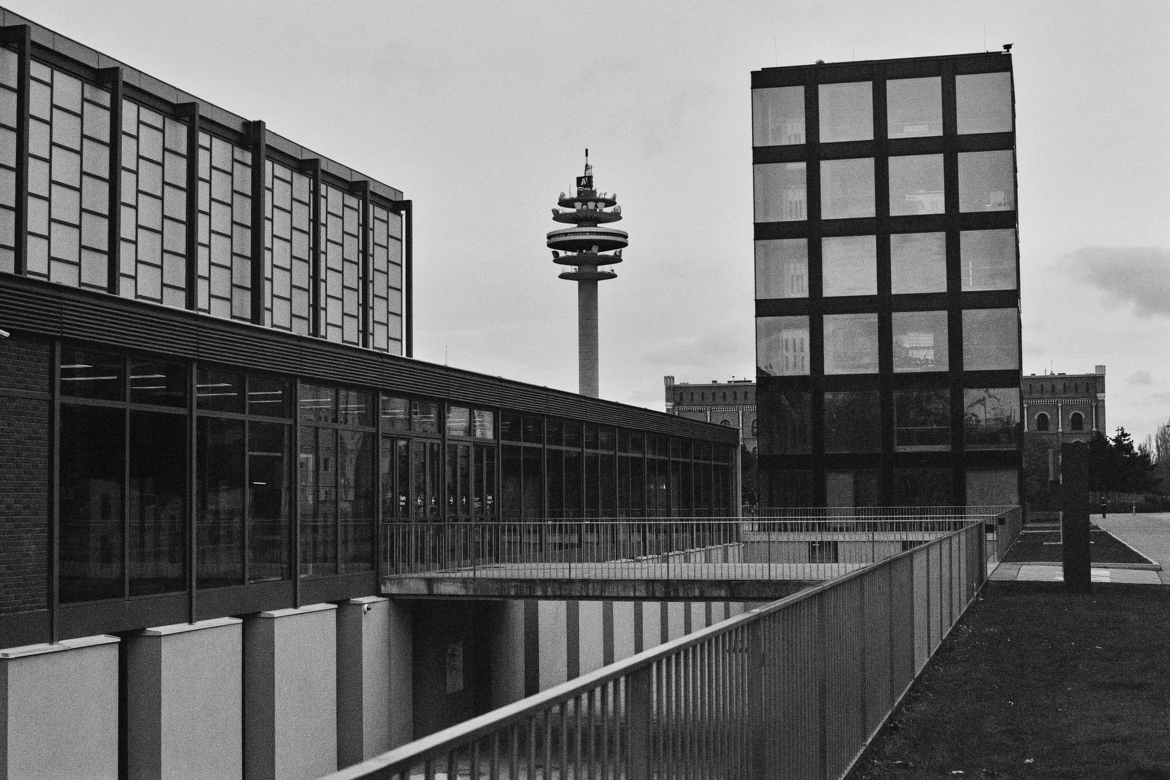 ninovalpiani.com_utility_poles_020.jpg
