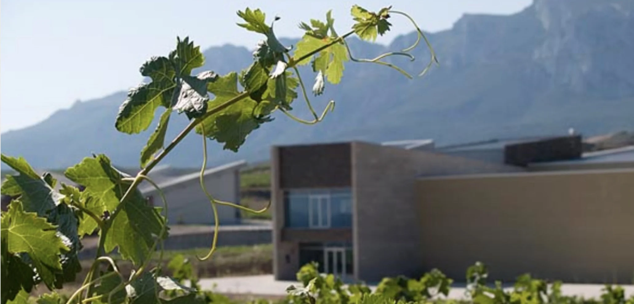 Spain_Ruiz de Vinespre_winery image.jpg
