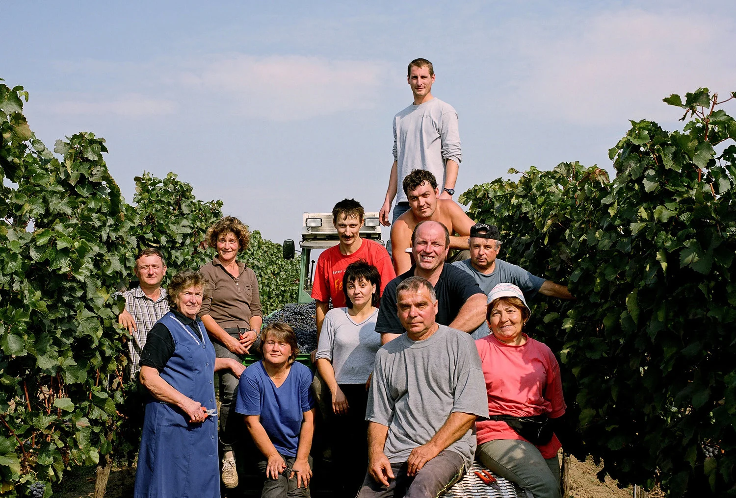 Austria_Zull_Winery.jpg