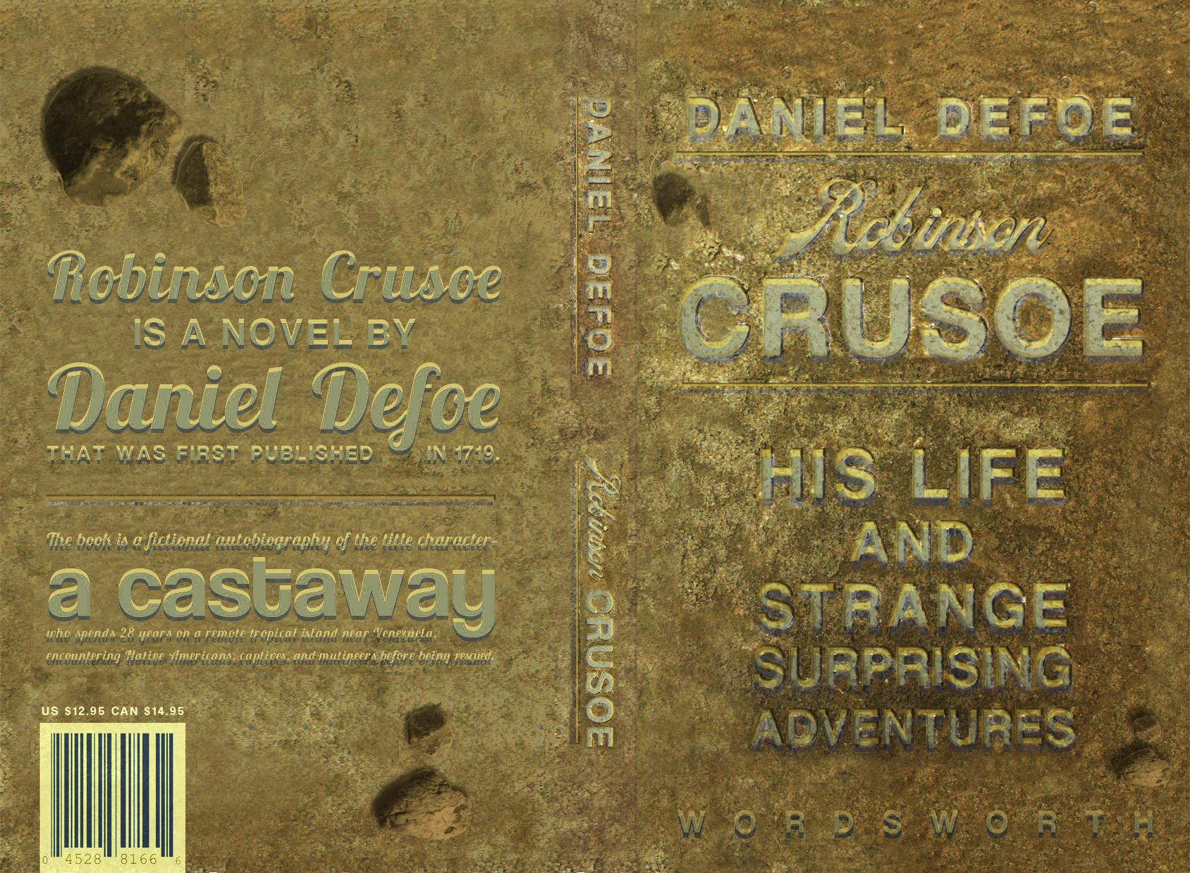 Book Cover Robinson.png