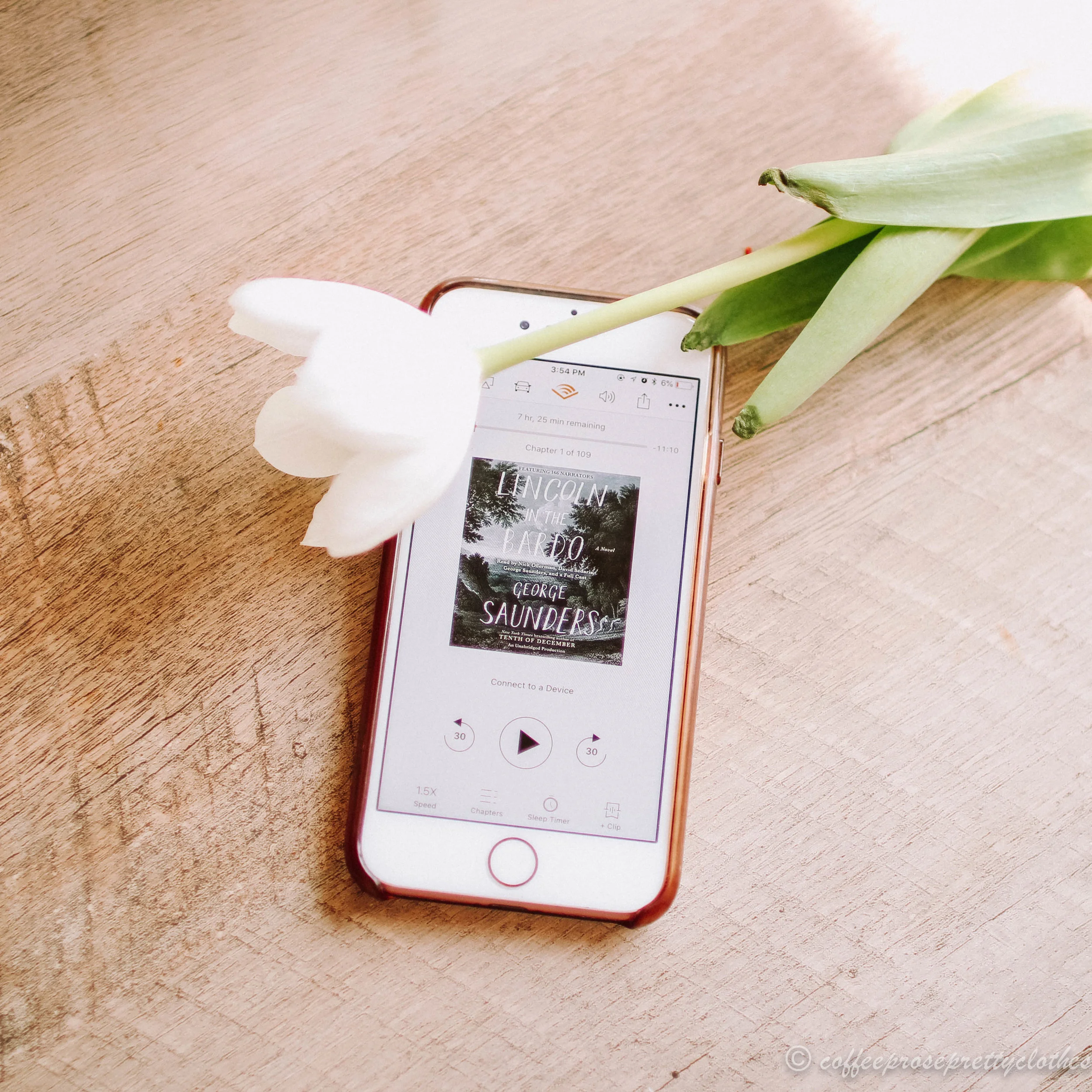 Book Club: Lincoln in the Bardo