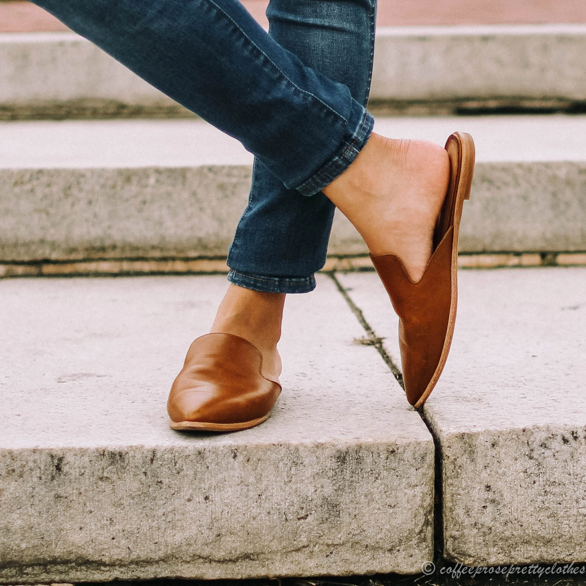 Rayon Blouse and Pointed Mules
