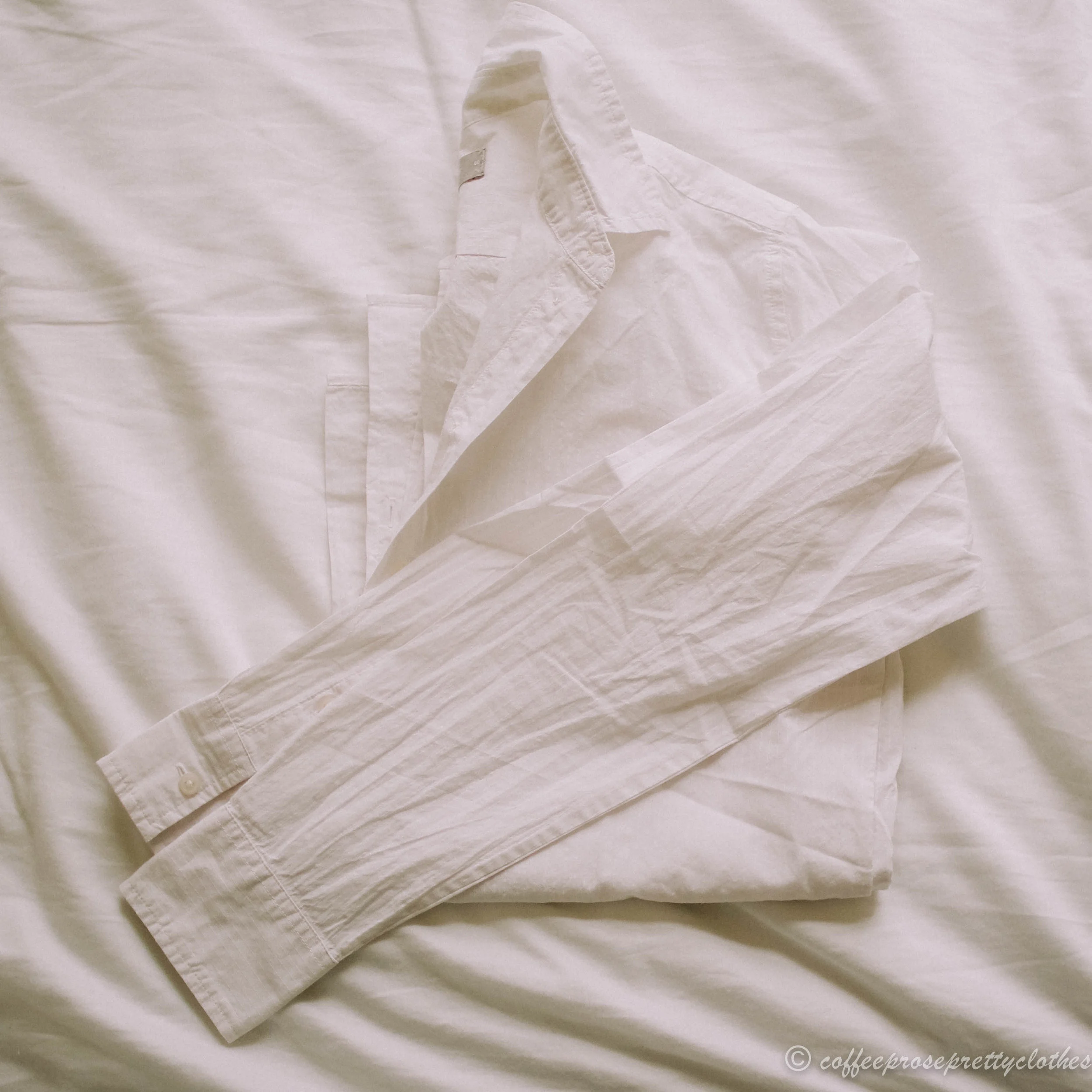 Everlane oxford shirt