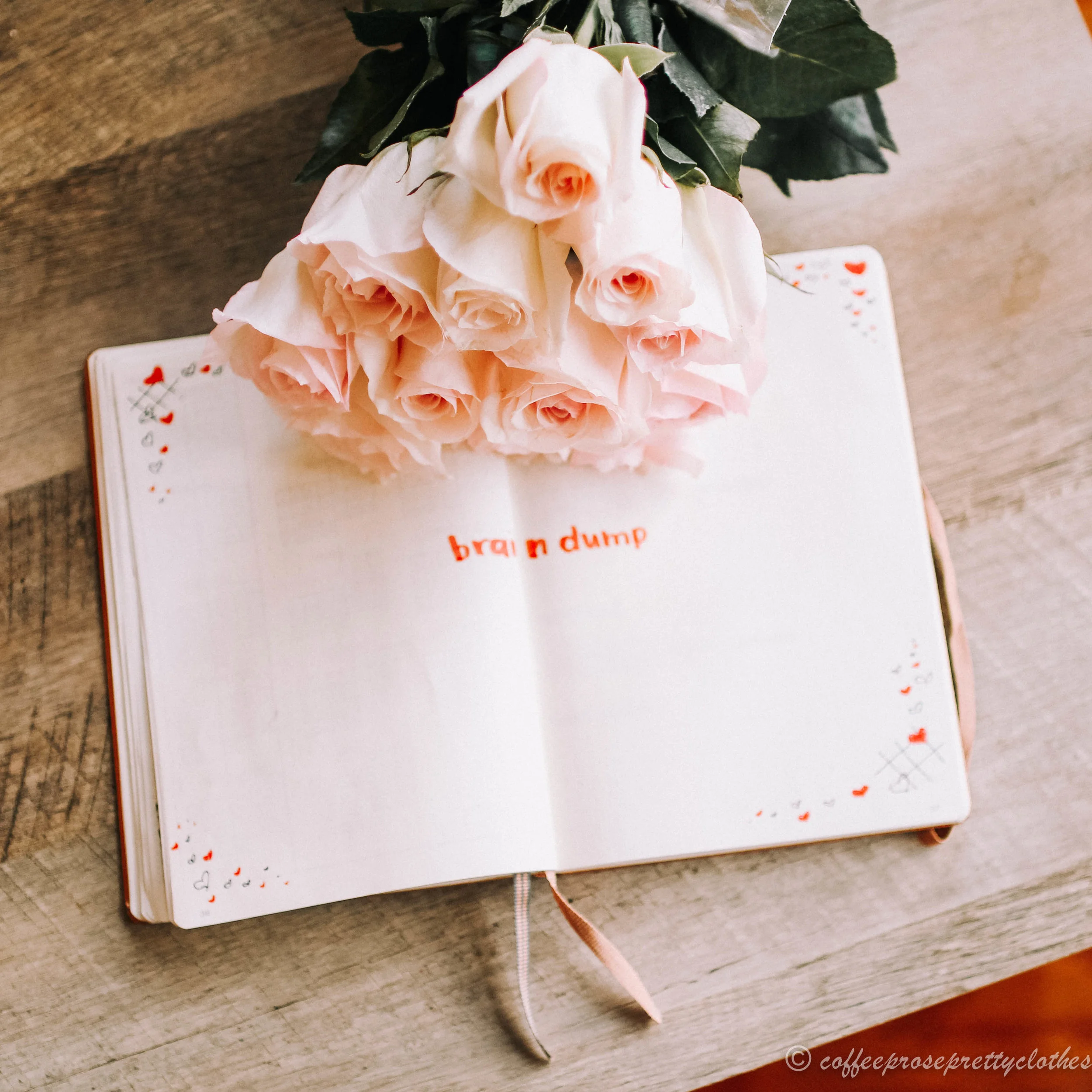 February Bullet Journal Brain Dump