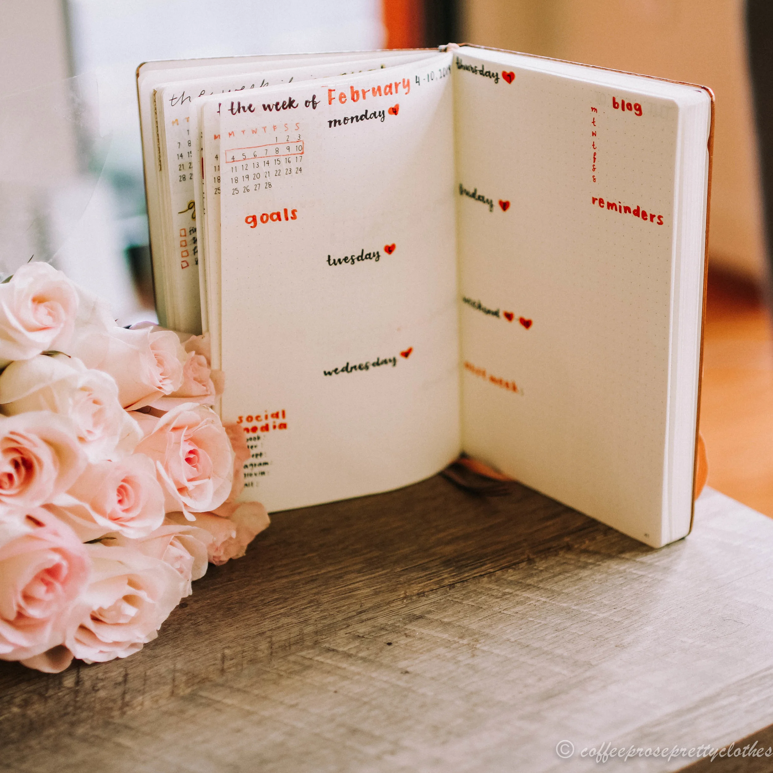 February Bullet Journal Weekly Spread