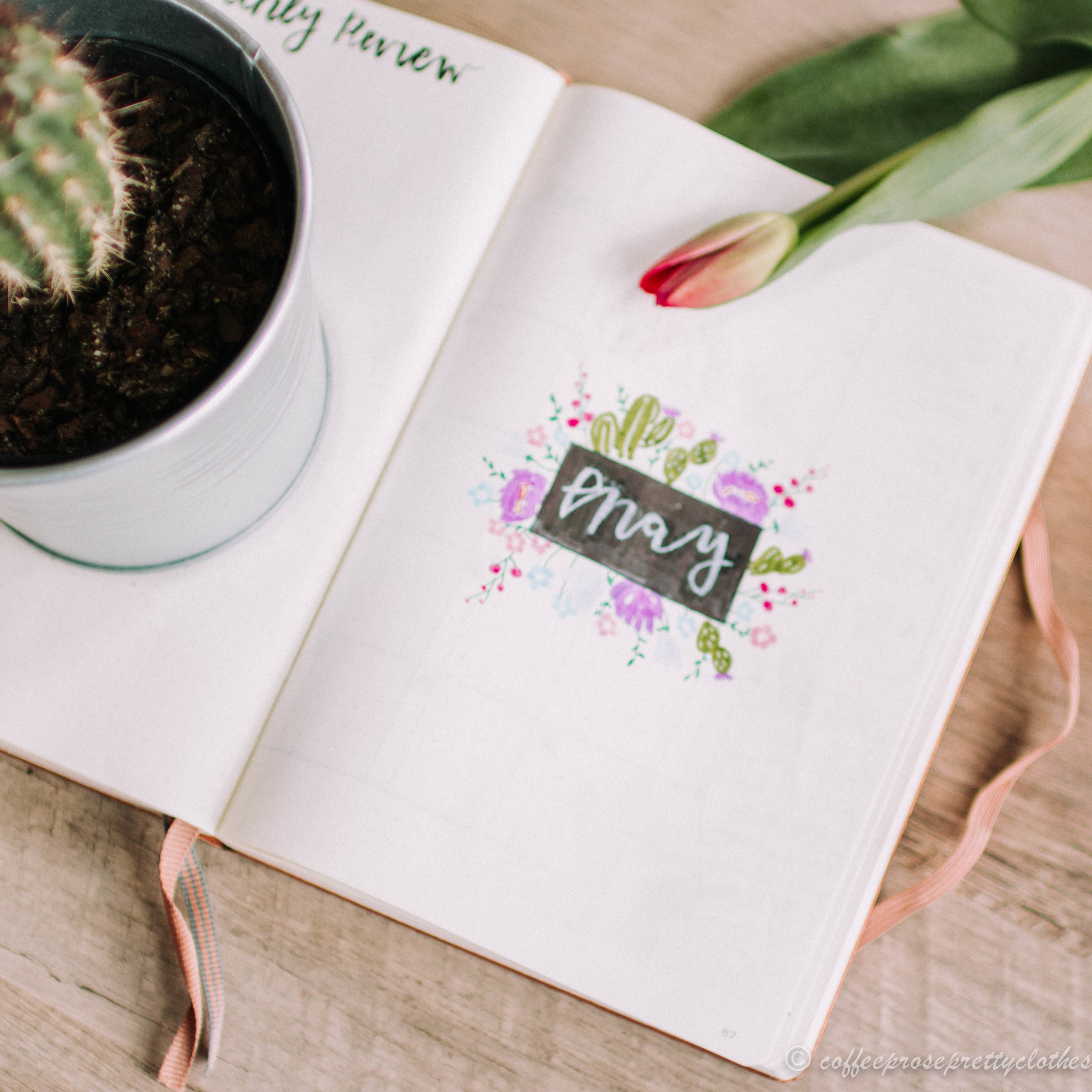 May Bullet journal cactus and flowers theme