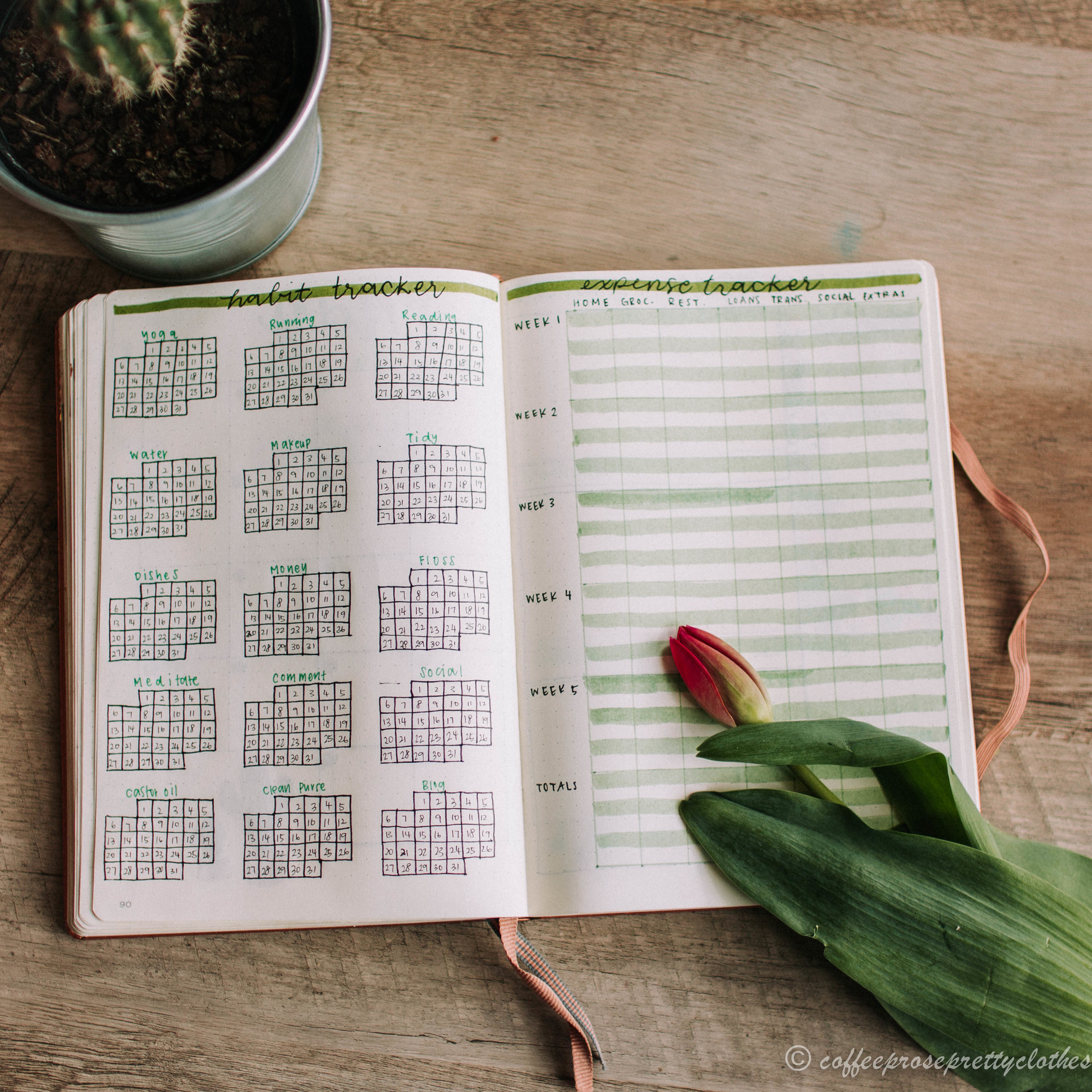 May Bullet Journal Cactus theme