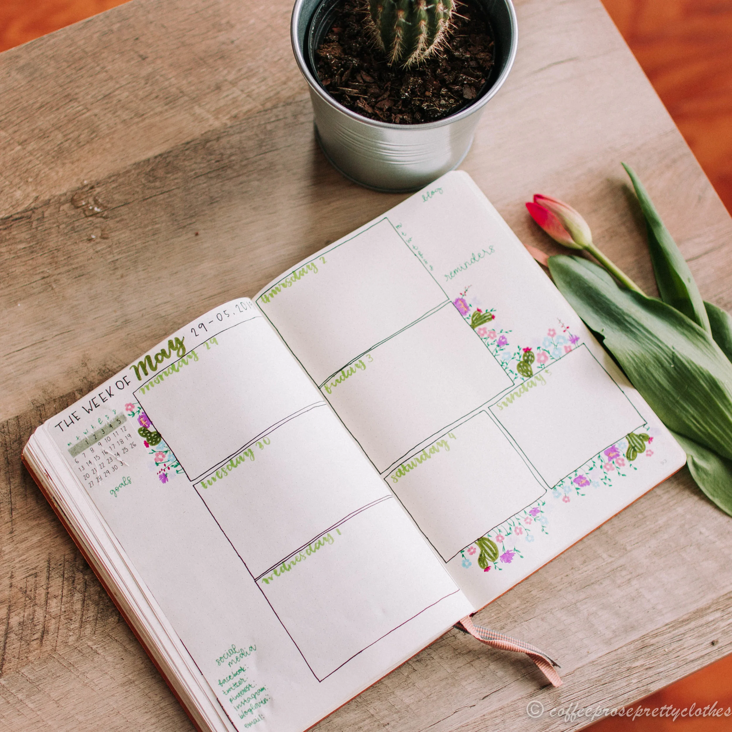 May Bullet Journal Cactus theme Weekly spread