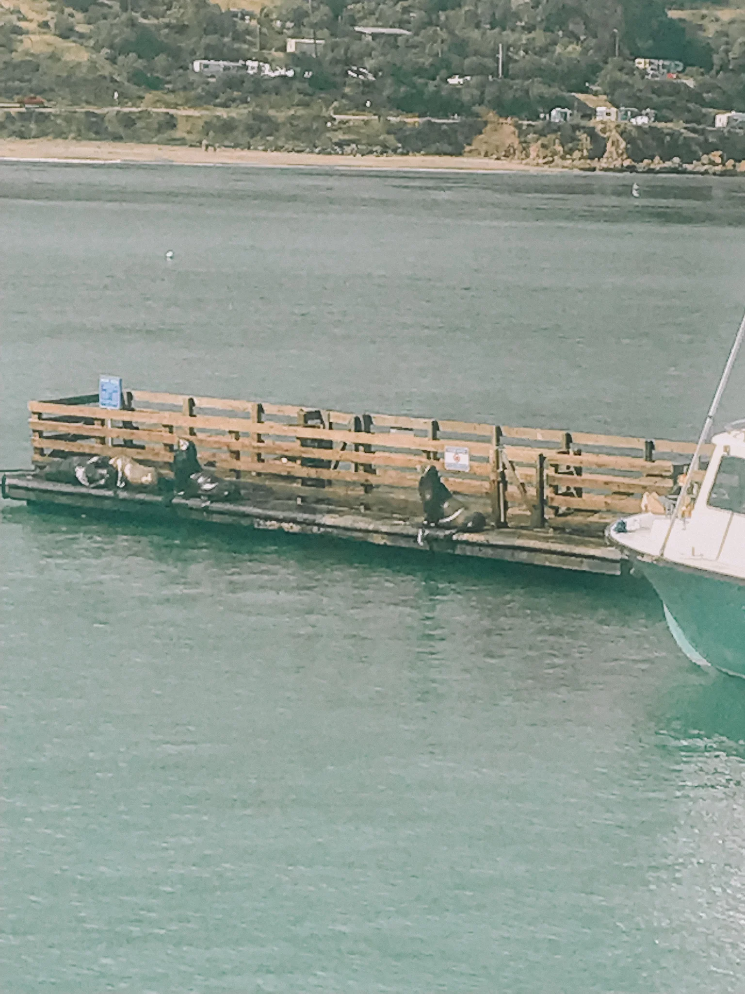 24 Hours in San Luis Obispo County