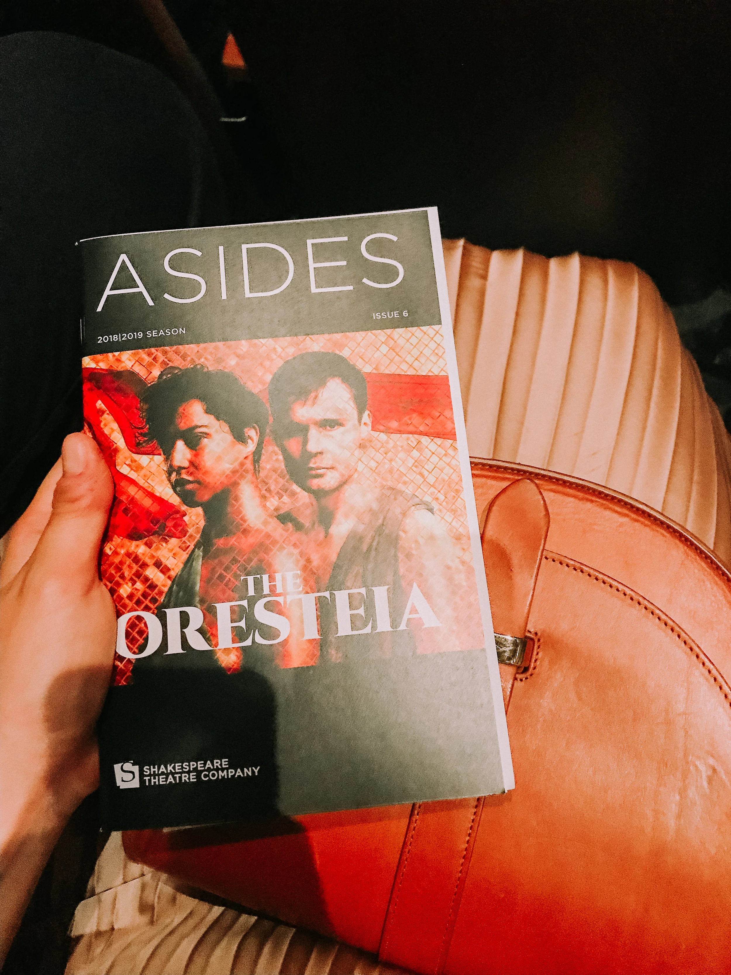 The Oresteia at STC
