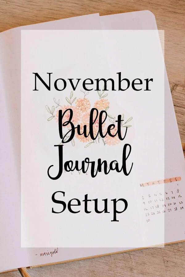 November 2020 Bullet Journal Setup