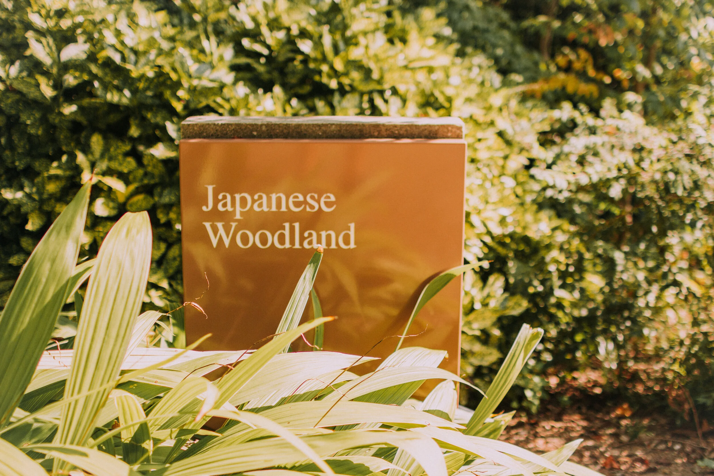 Floral Dress and Nisolo Mariella Mules