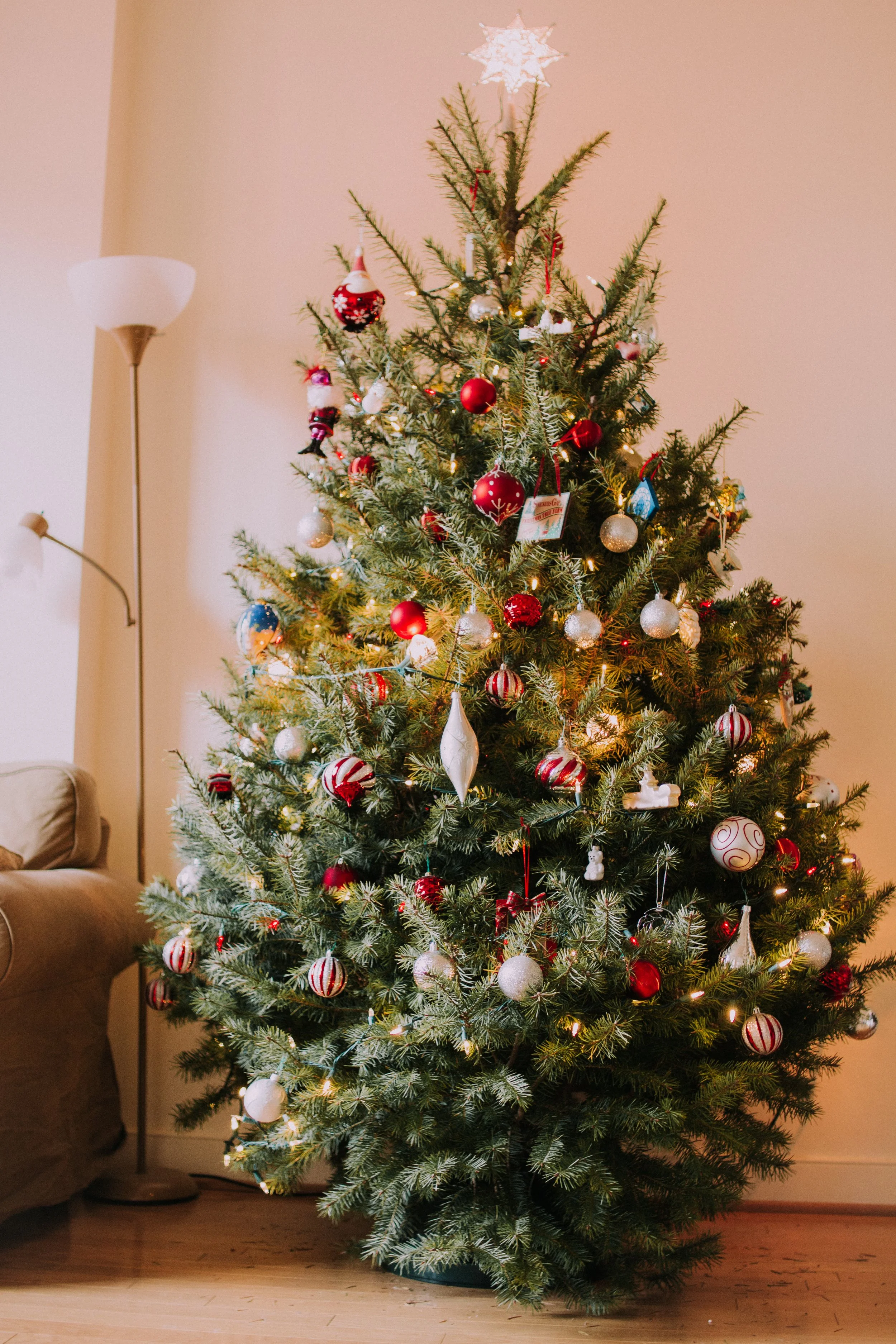 Sustainable Holiday Decor Ideas