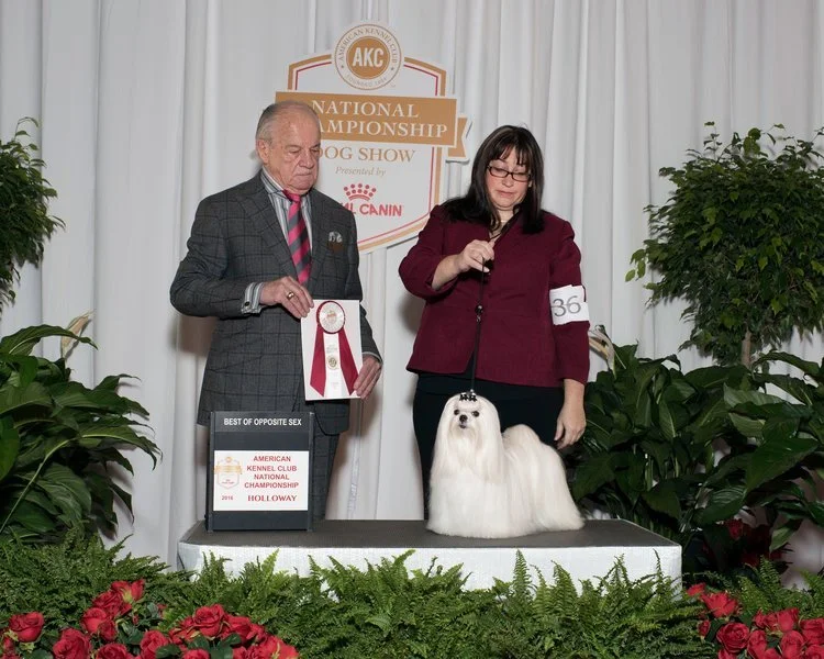 AKC Royal Canin Show 2016