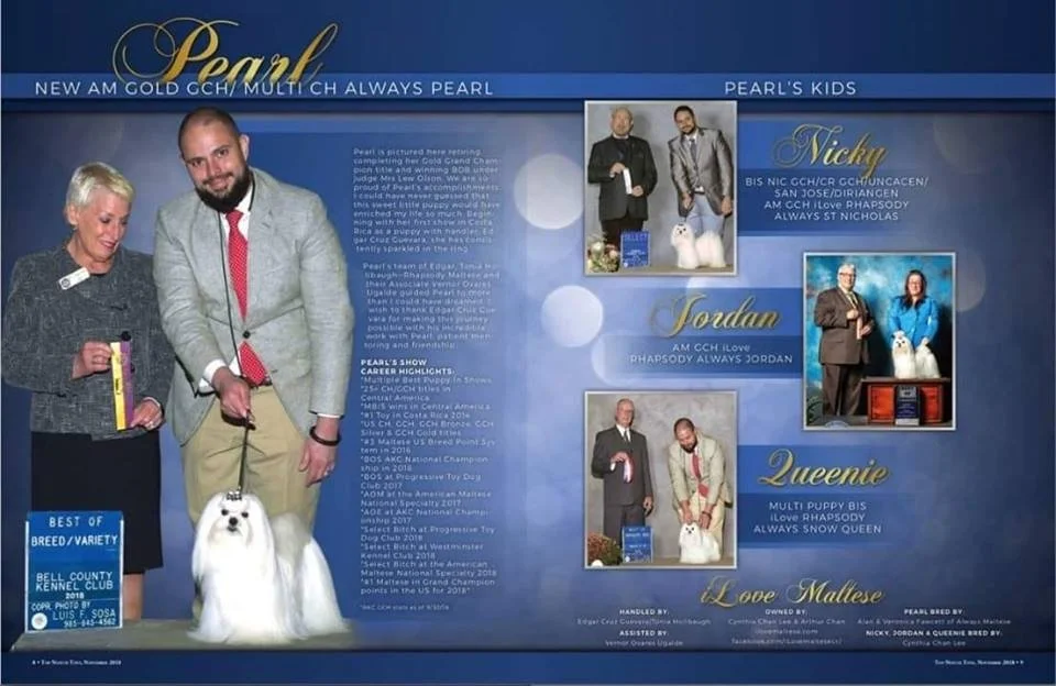 GOLD GCH Always Pearl