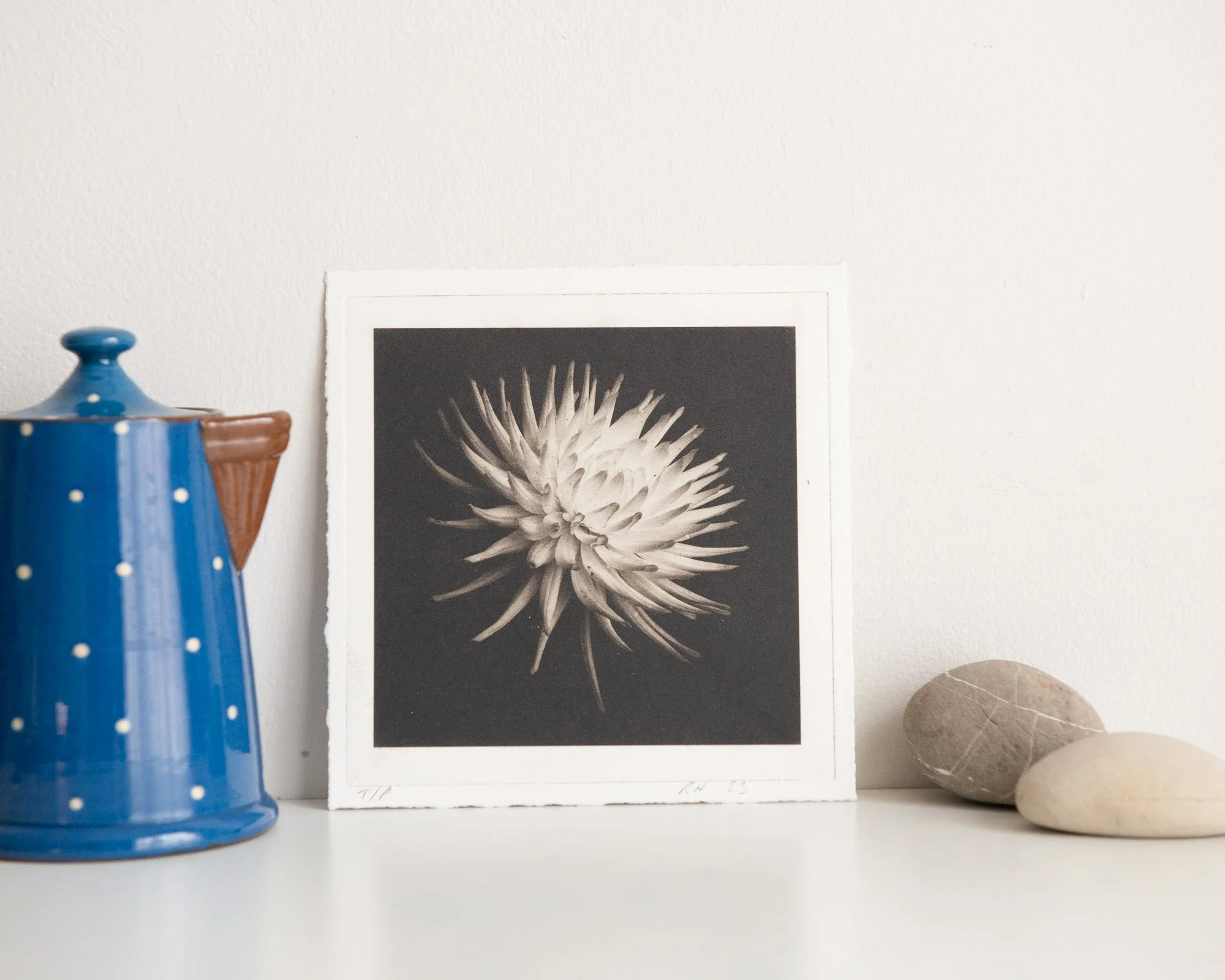 Dahlia Test Print 5