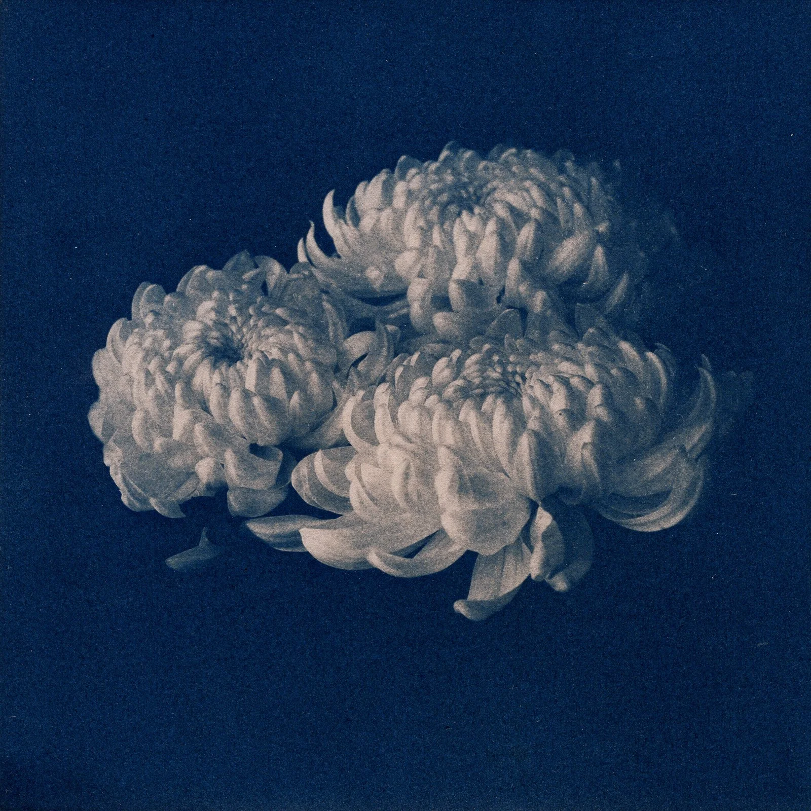 img819-Edit.jpg