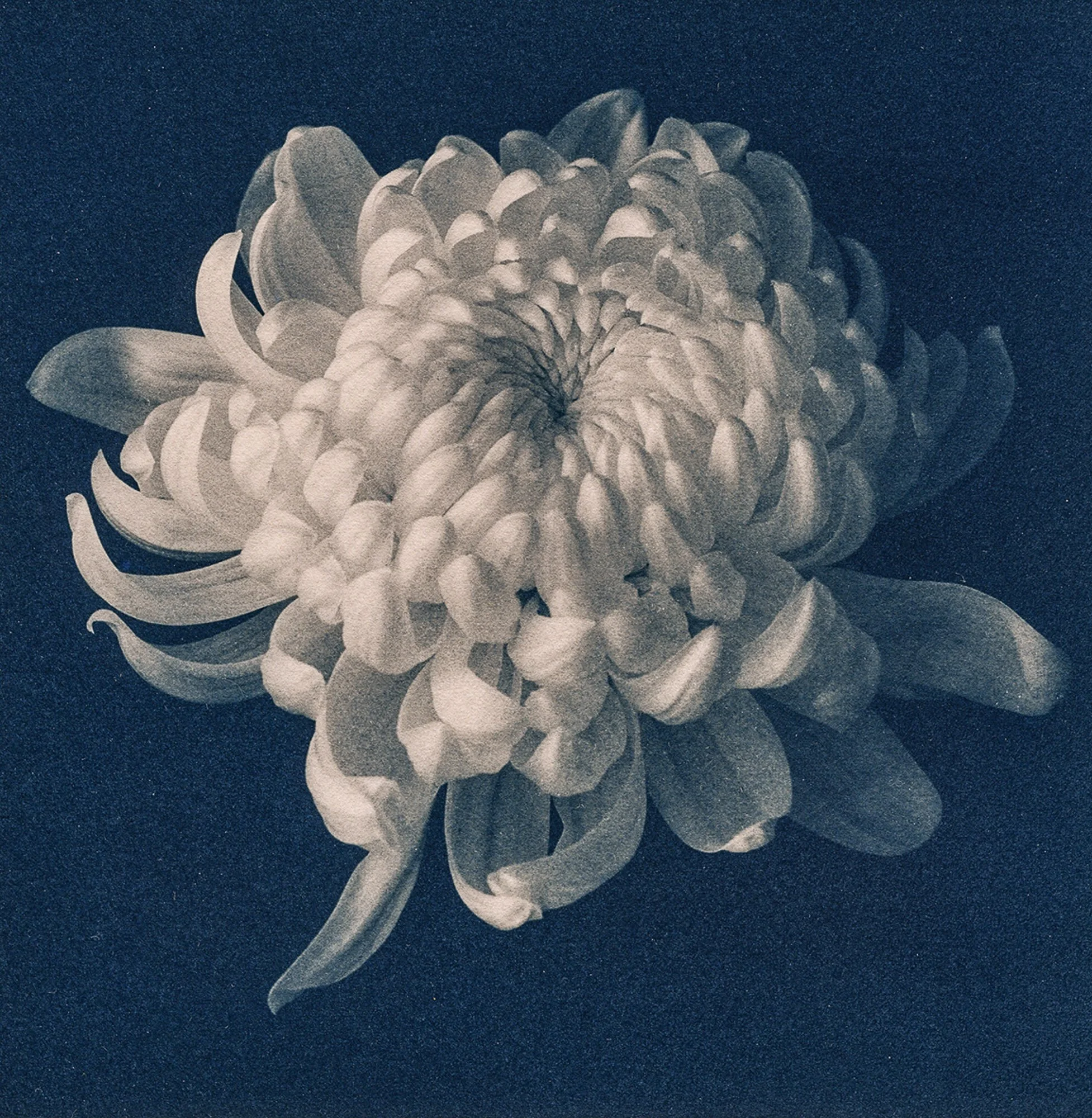 img820-Edit.jpg