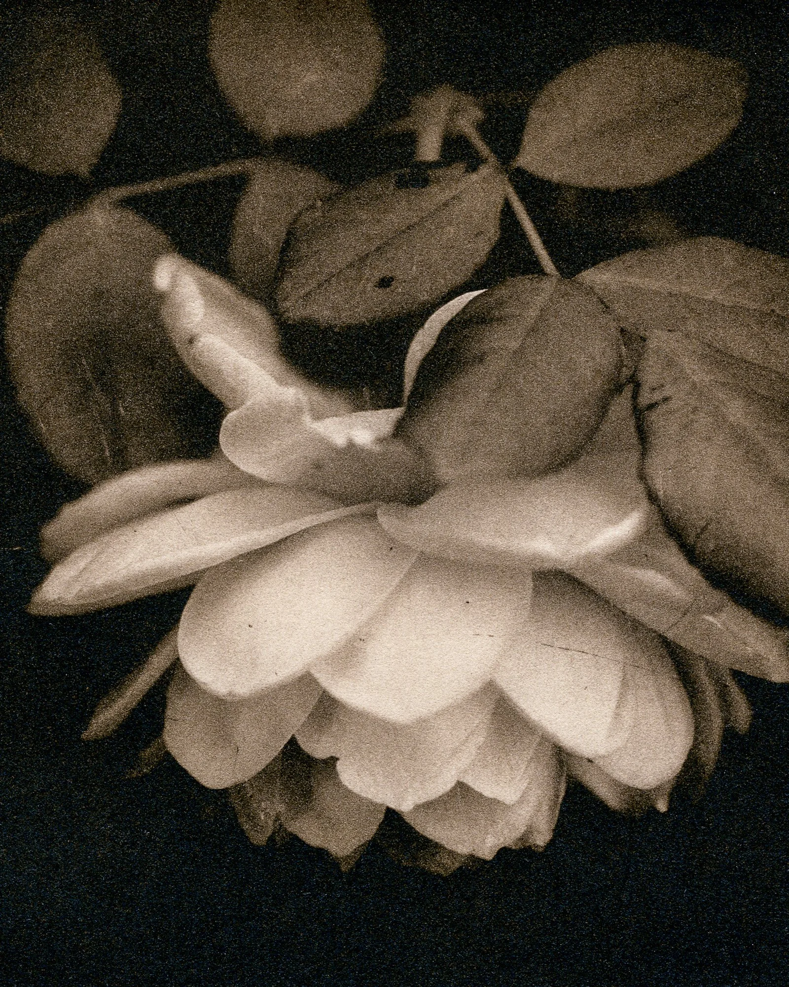 img046-2.jpg
