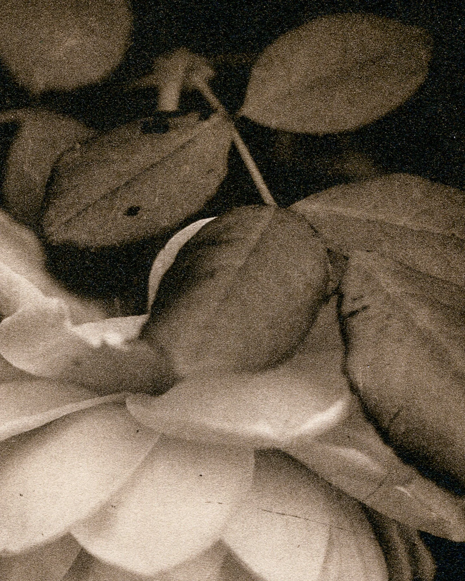 img046-3.jpg