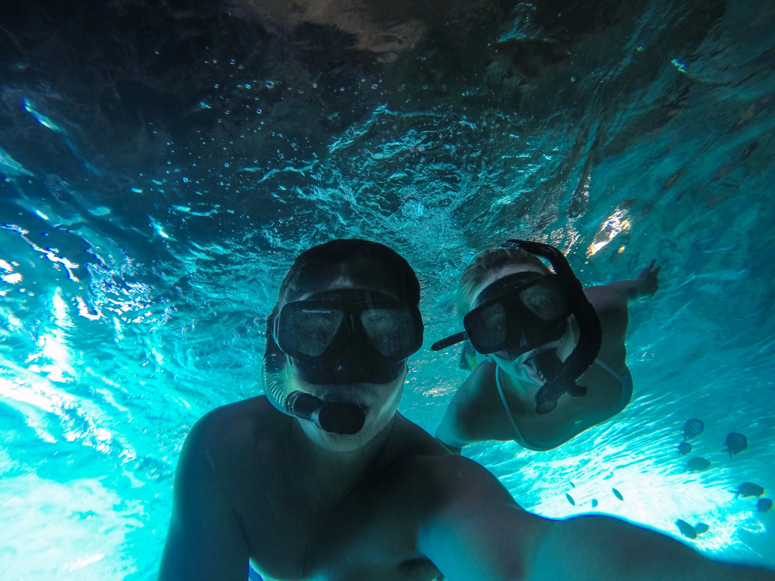 Scuba.jpg