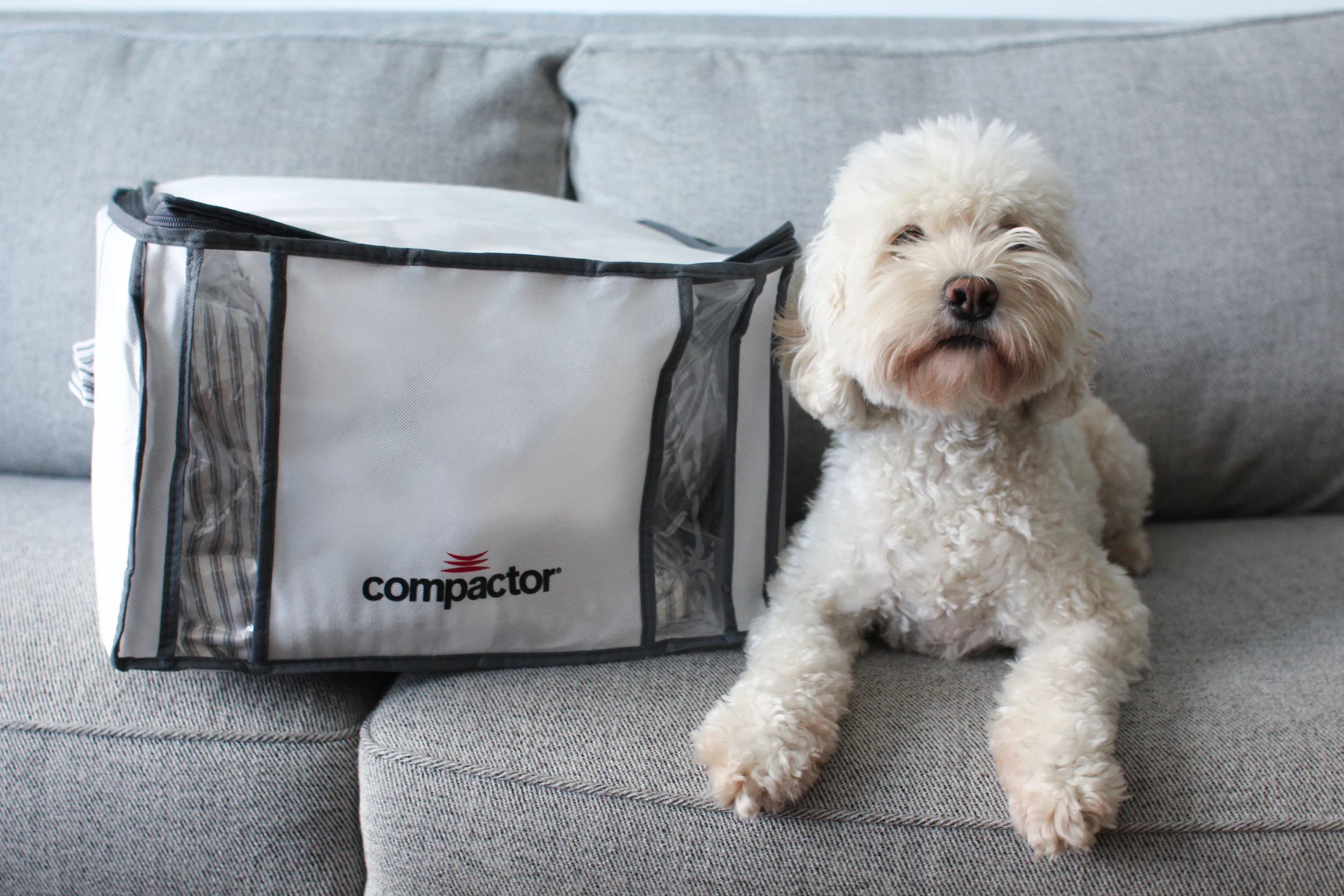 Compactor Bag-9484.jpg