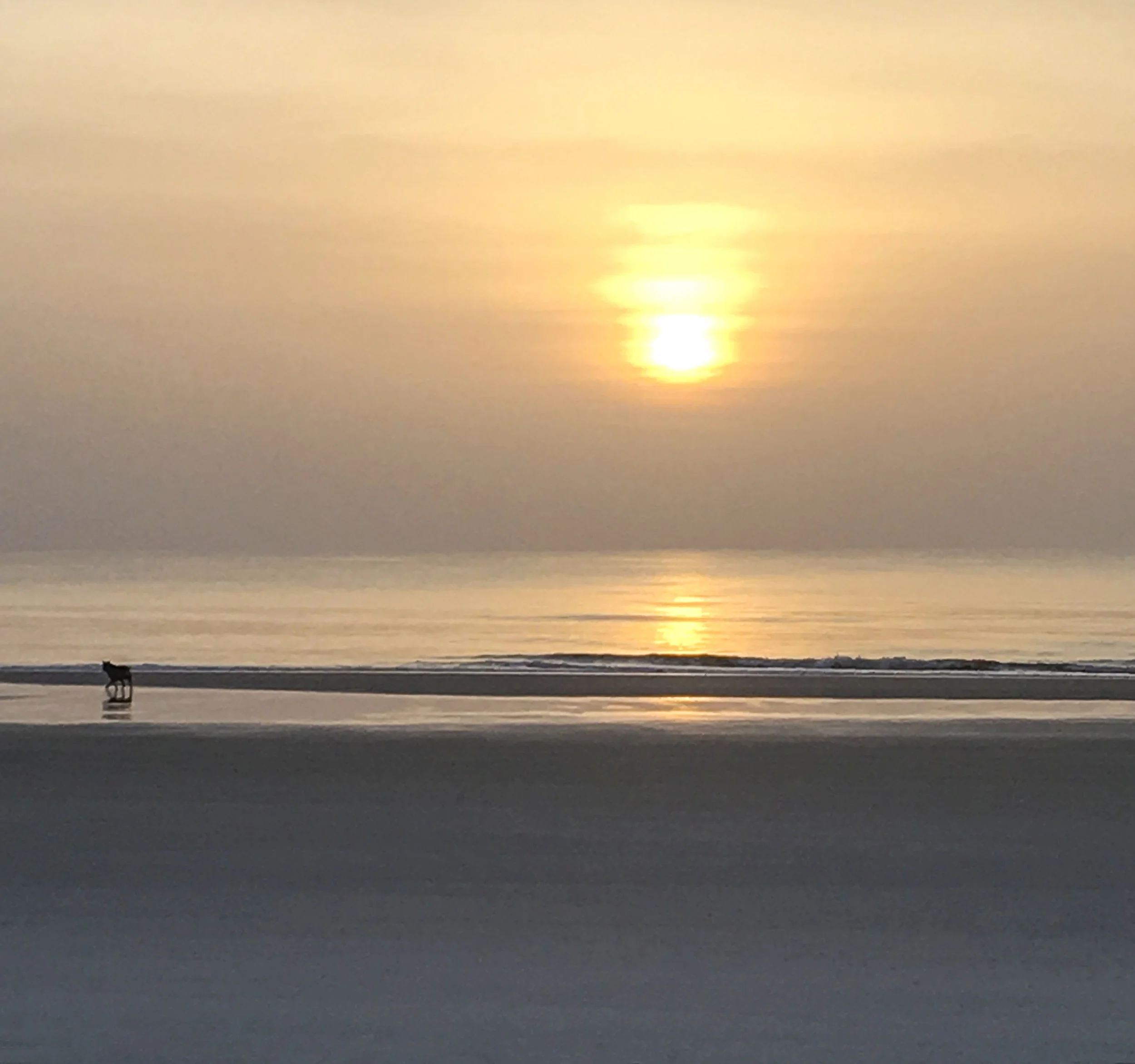 jaxbeach007 copy.JPG