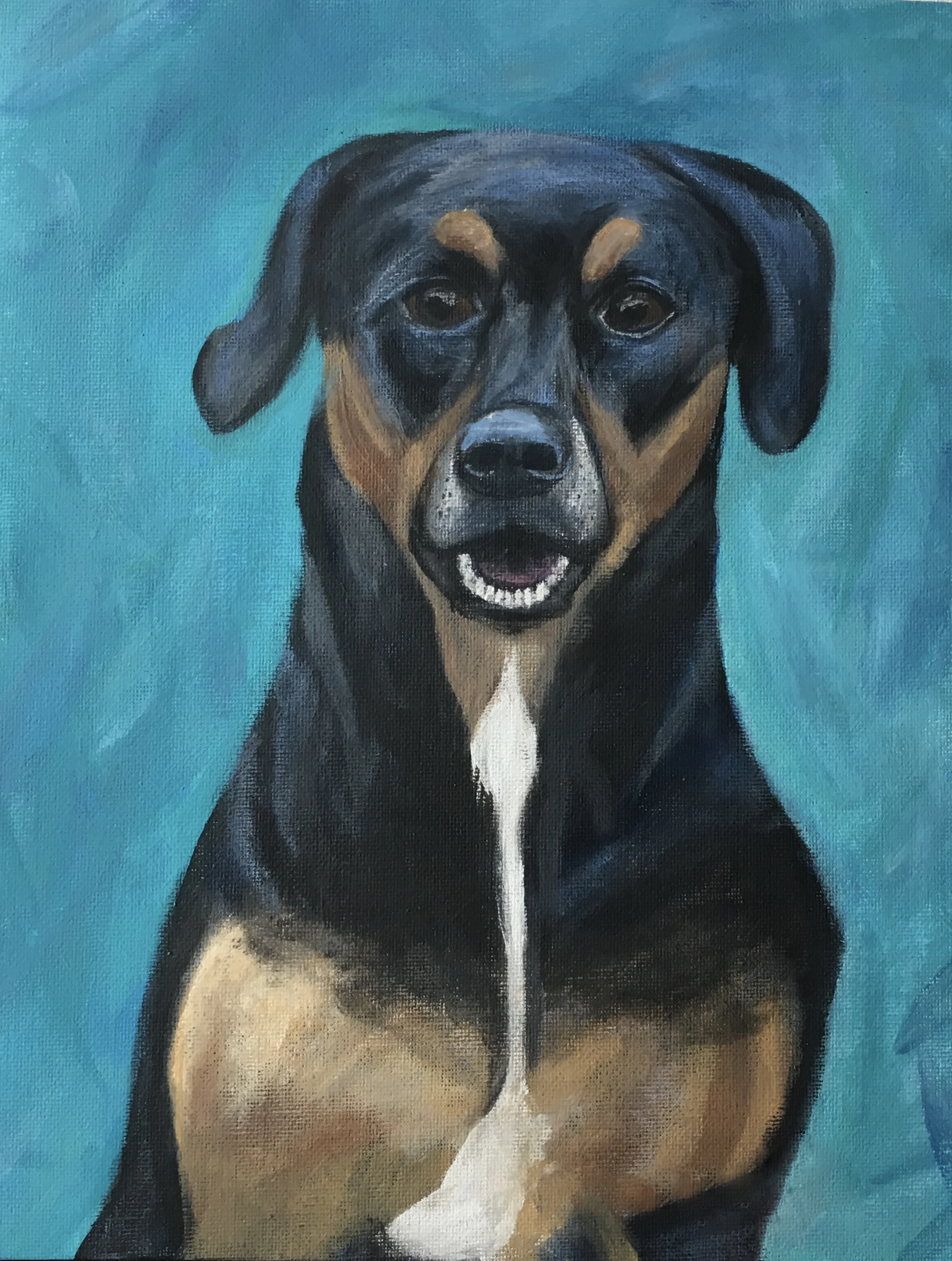 doggyportrait.jpg
