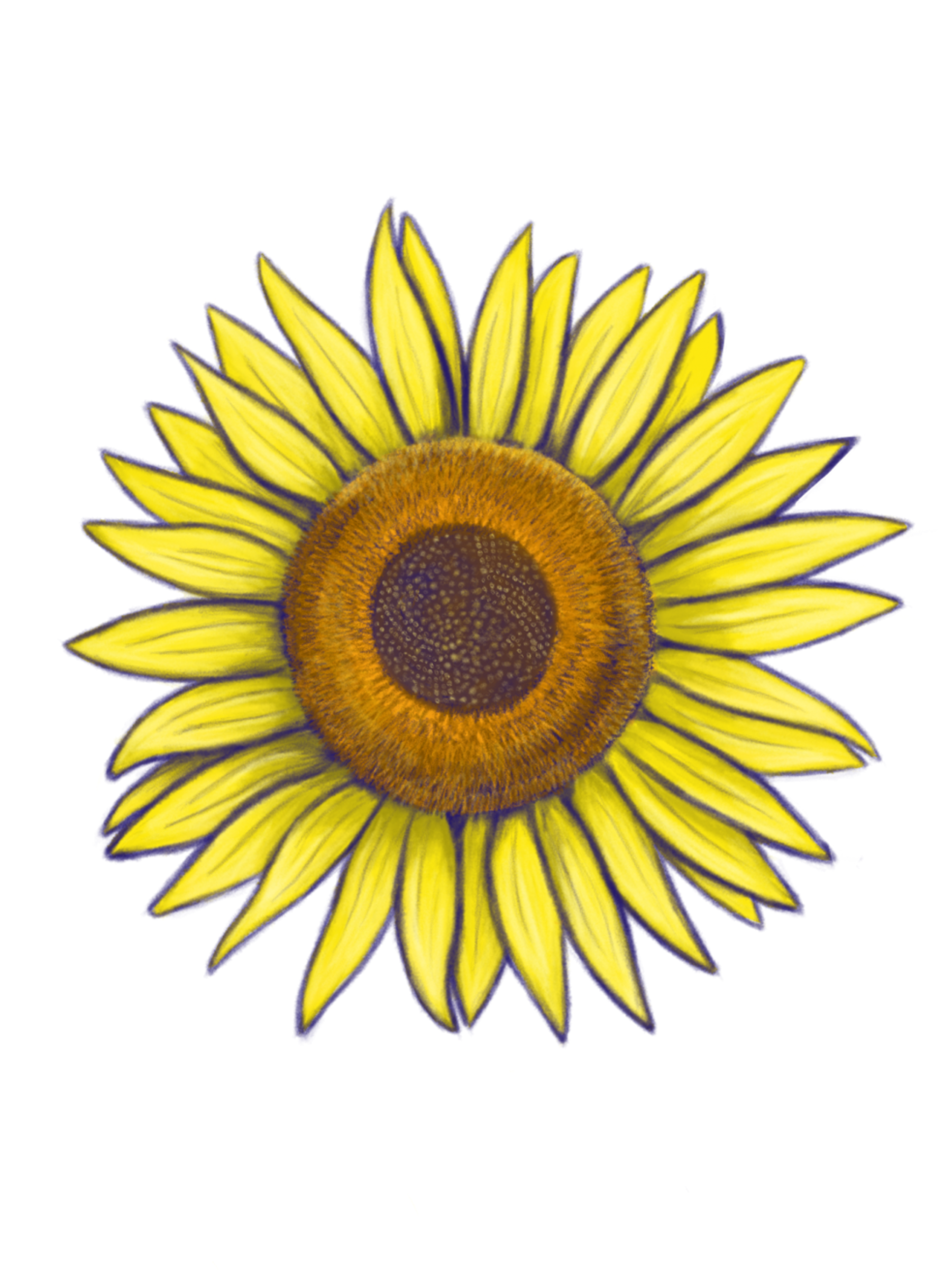 Untitled_Artwork 11.png