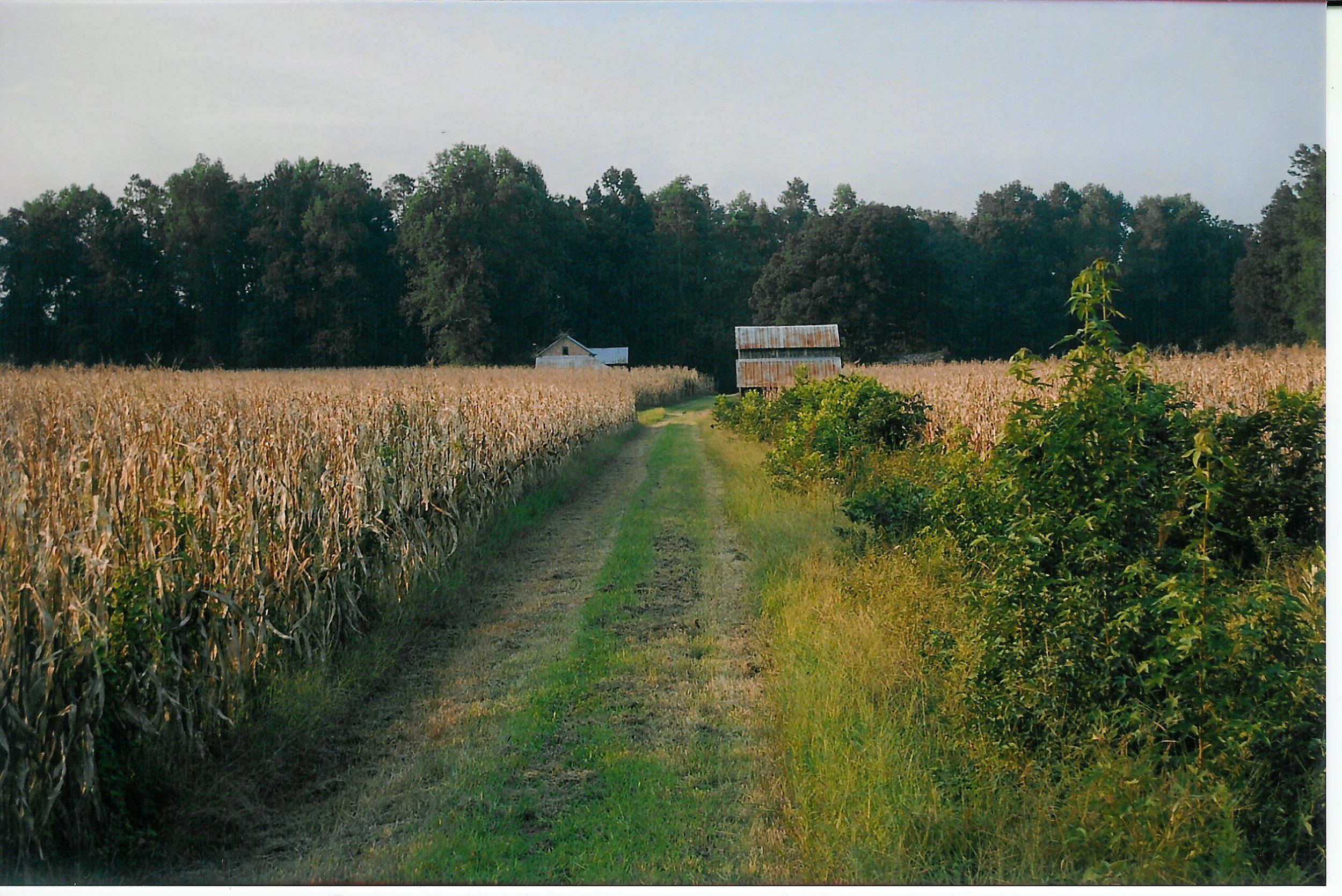 Fields and homeplace.jpg