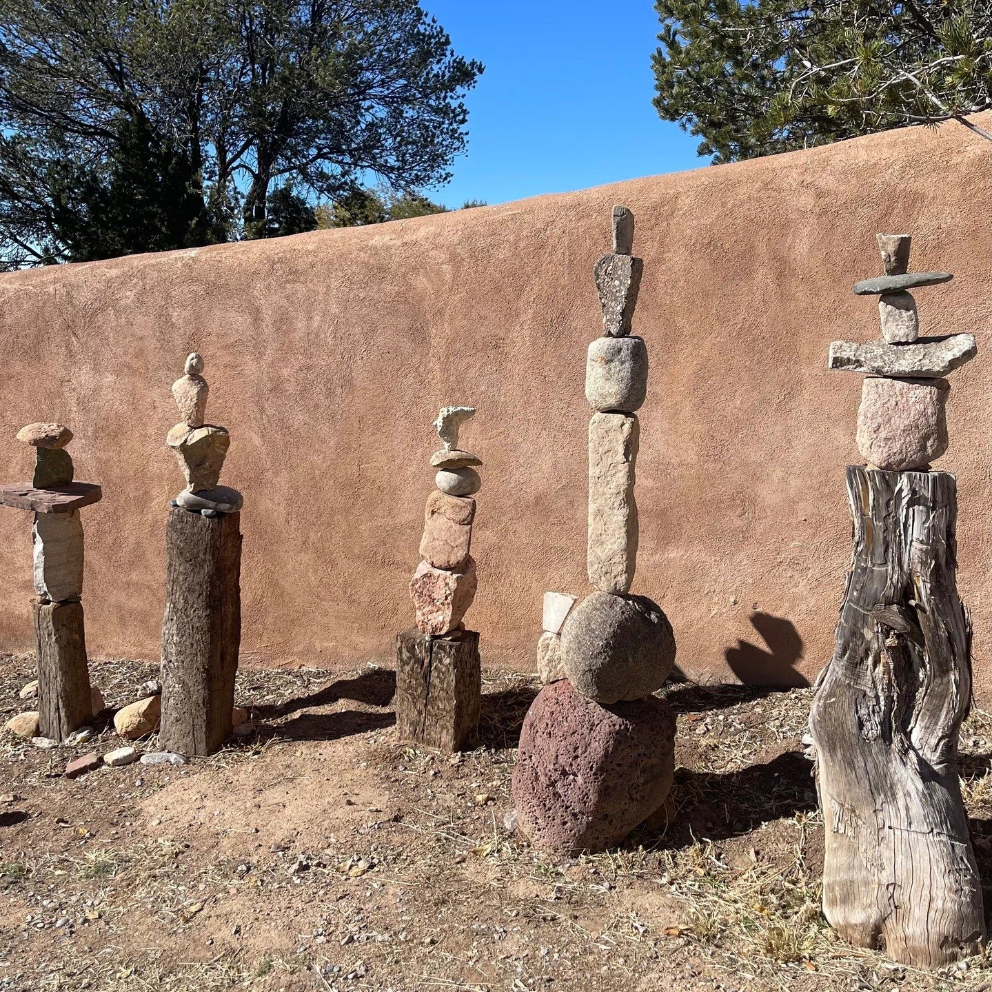 Neighborhood Daily Visual Treat