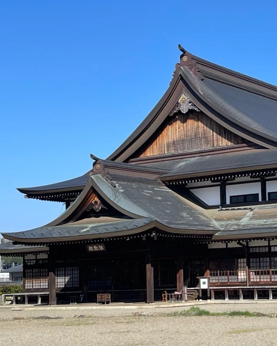 I am back at Oomoto where I learned to weave 45 years ago. Seeing my dear friends after all this time is a dream come true. Arigato!