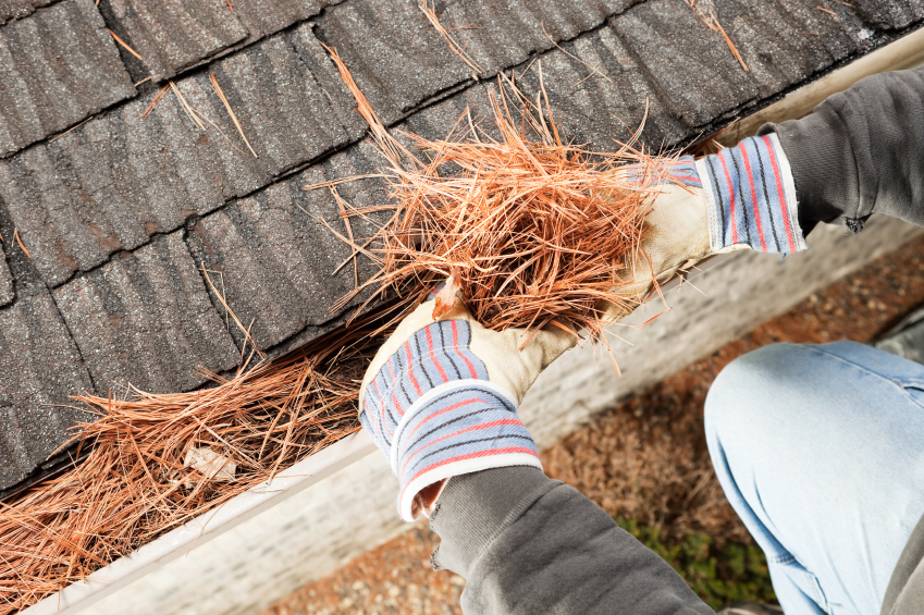 Gutter Cleaning Service Cary Nc
