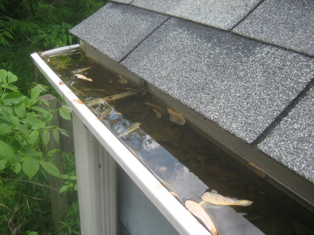 Country Doctor - Clogged Gutter 1.jpg