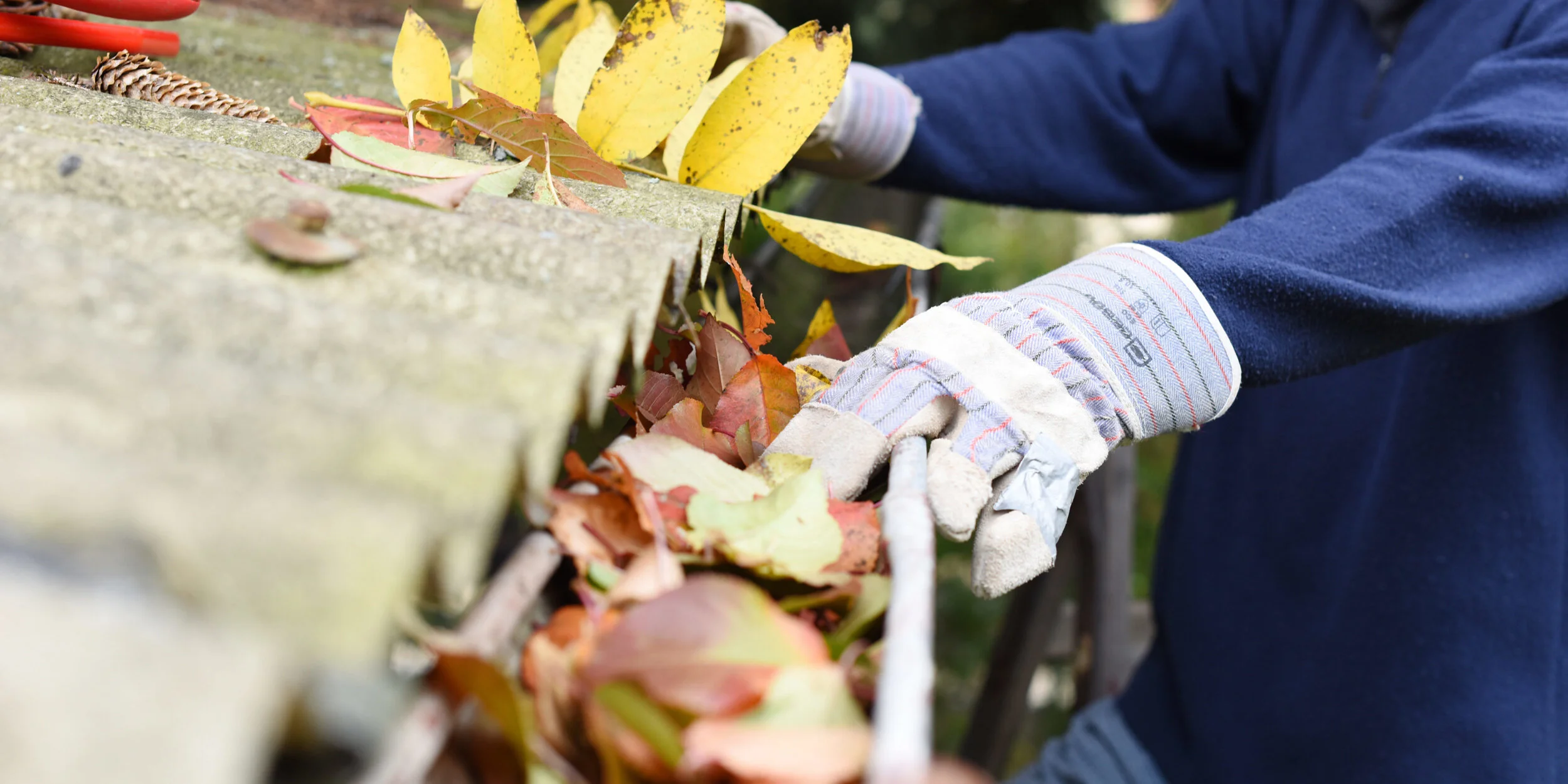 Welcome to Country Doctor Lawn and House Care LLC