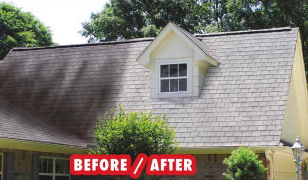 Indiana Roof Cleaning