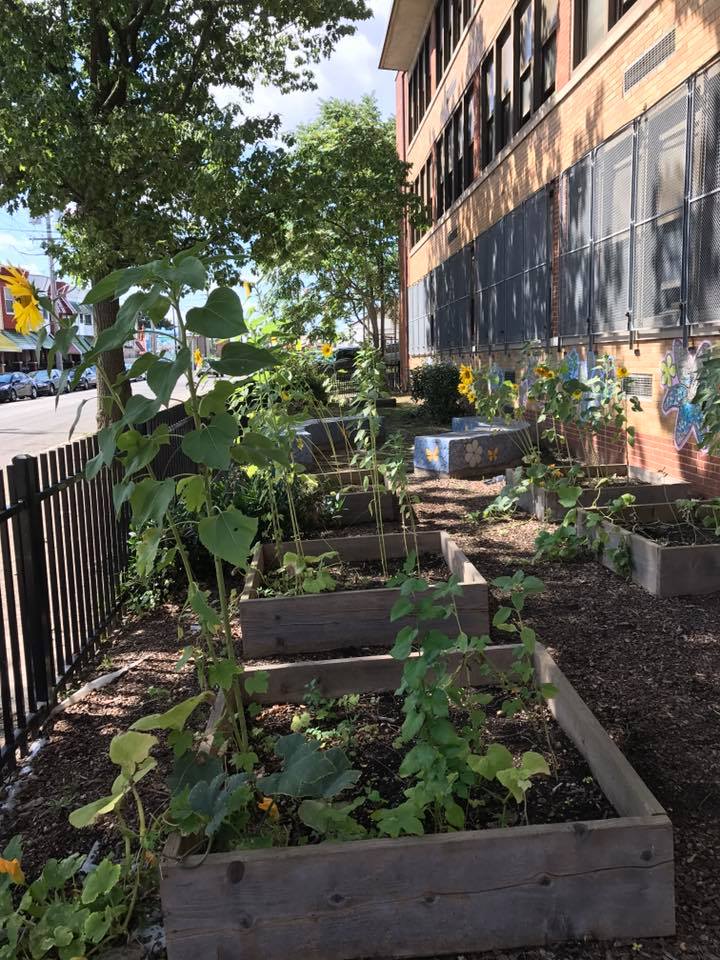 beautifying school yard