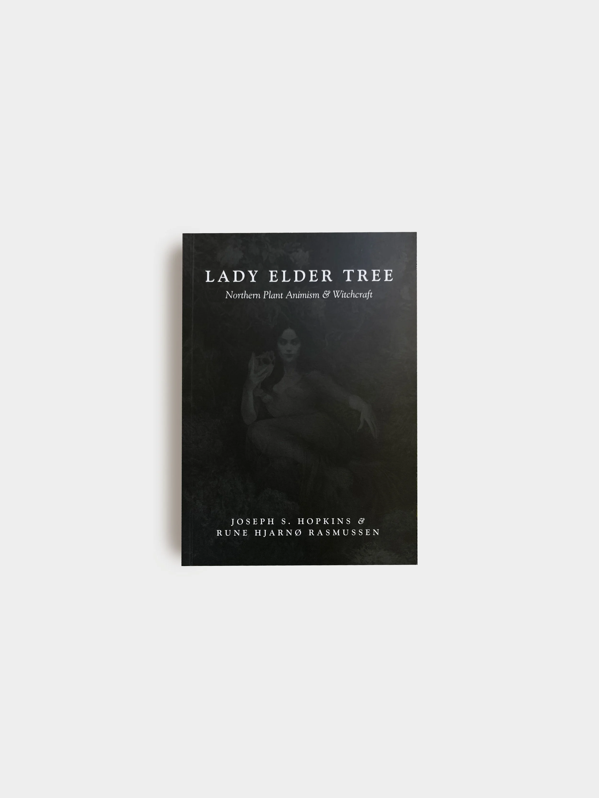 Lady Elder Tree