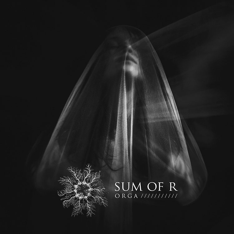 Sum-Of-R-Orga.jpg