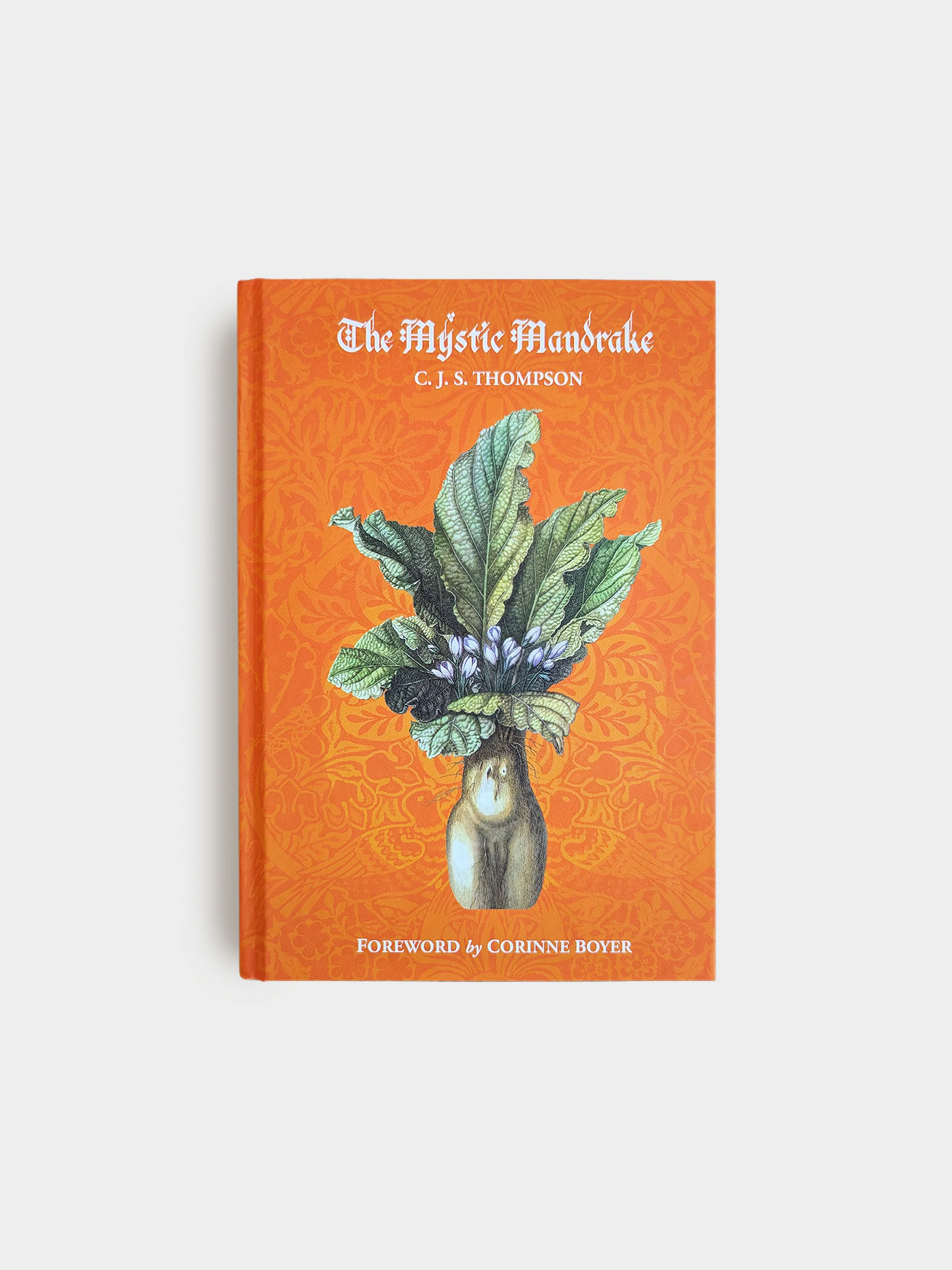 The Mystic Mandrake