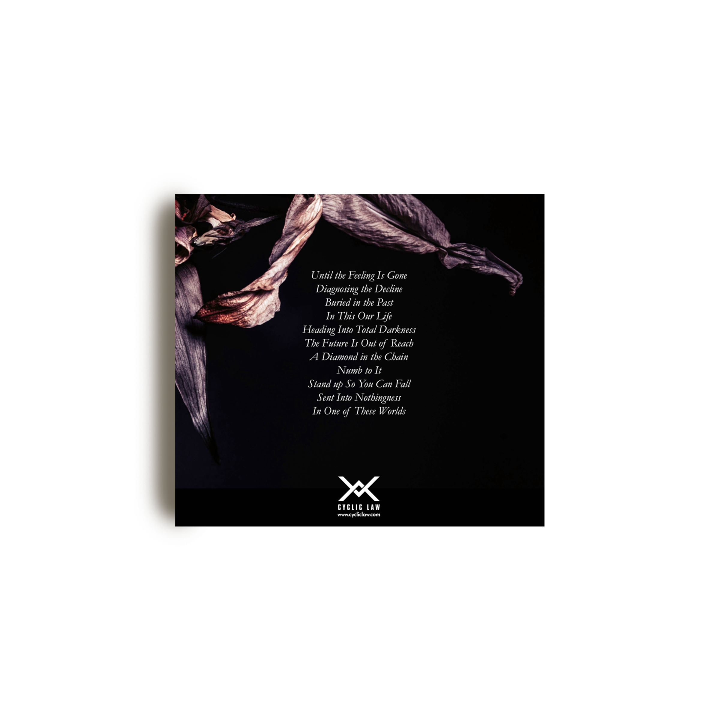BEYOND SENSORY EXPERIENCE “In This Our Life” CD / DL (256th Cycle)