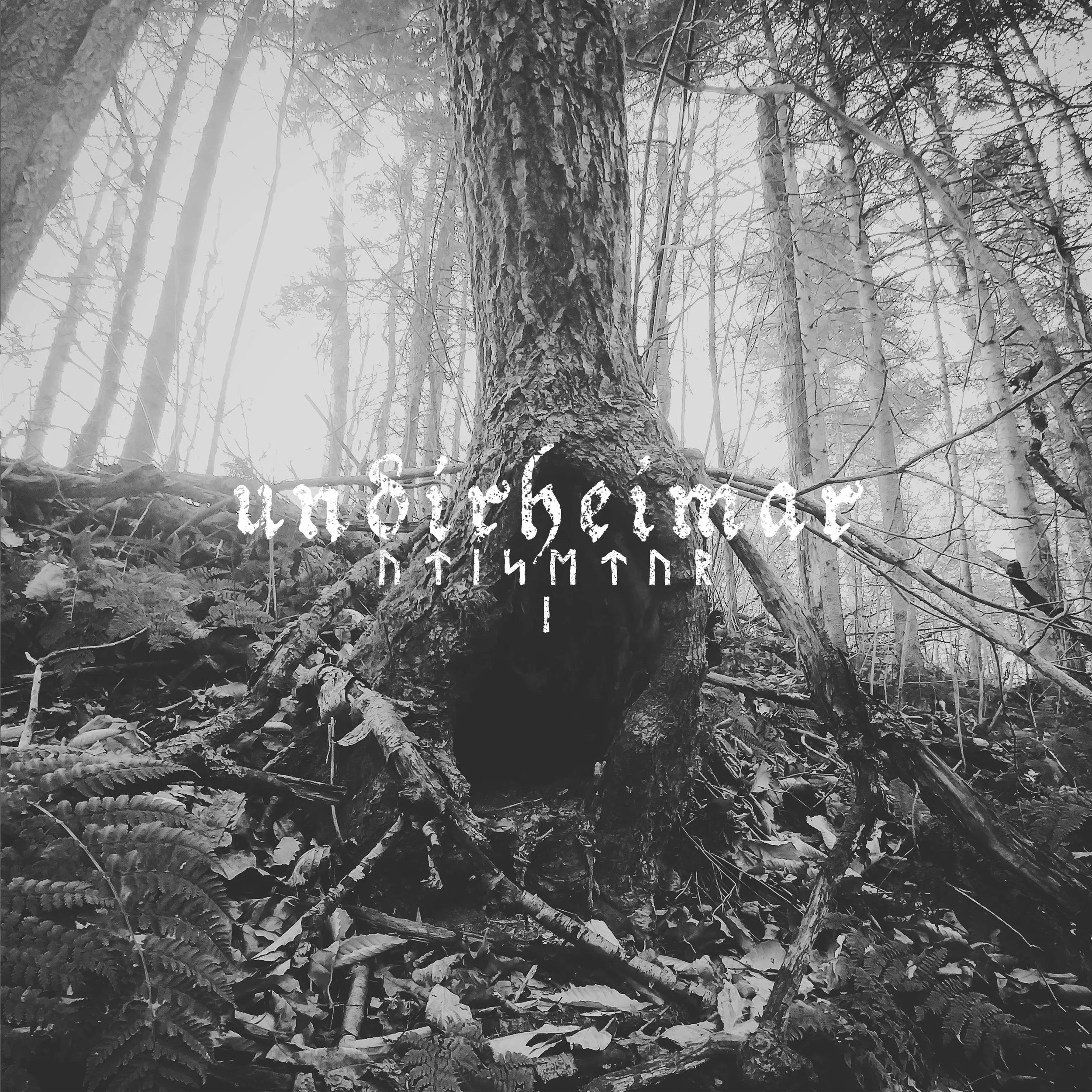UNDIRHEIMAR “Utisetur I” CD / LP / DL (280th Cycle)