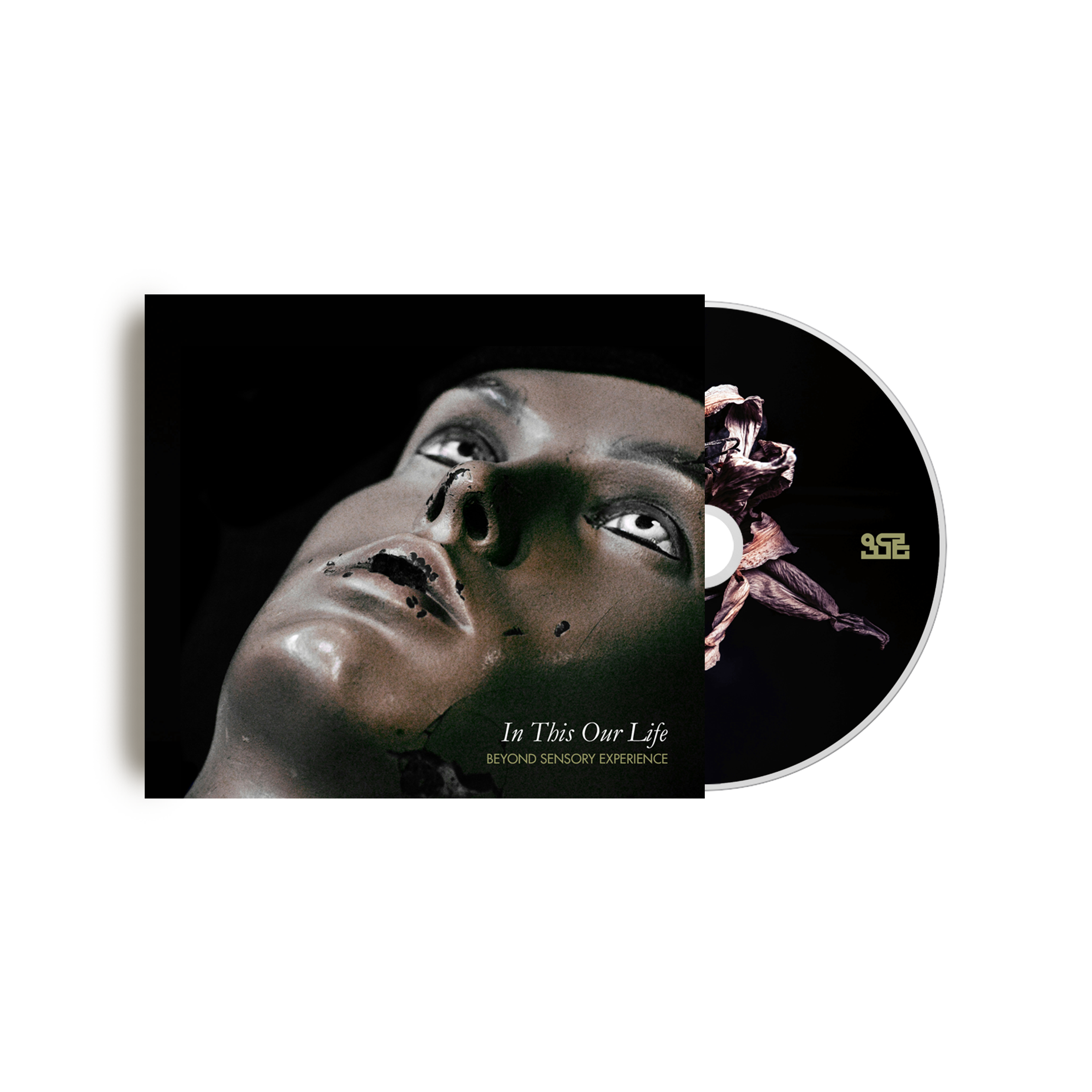 BEYOND SENSORY EXPERIENCE “In This Our Life” CD / DL (256th Cycle)