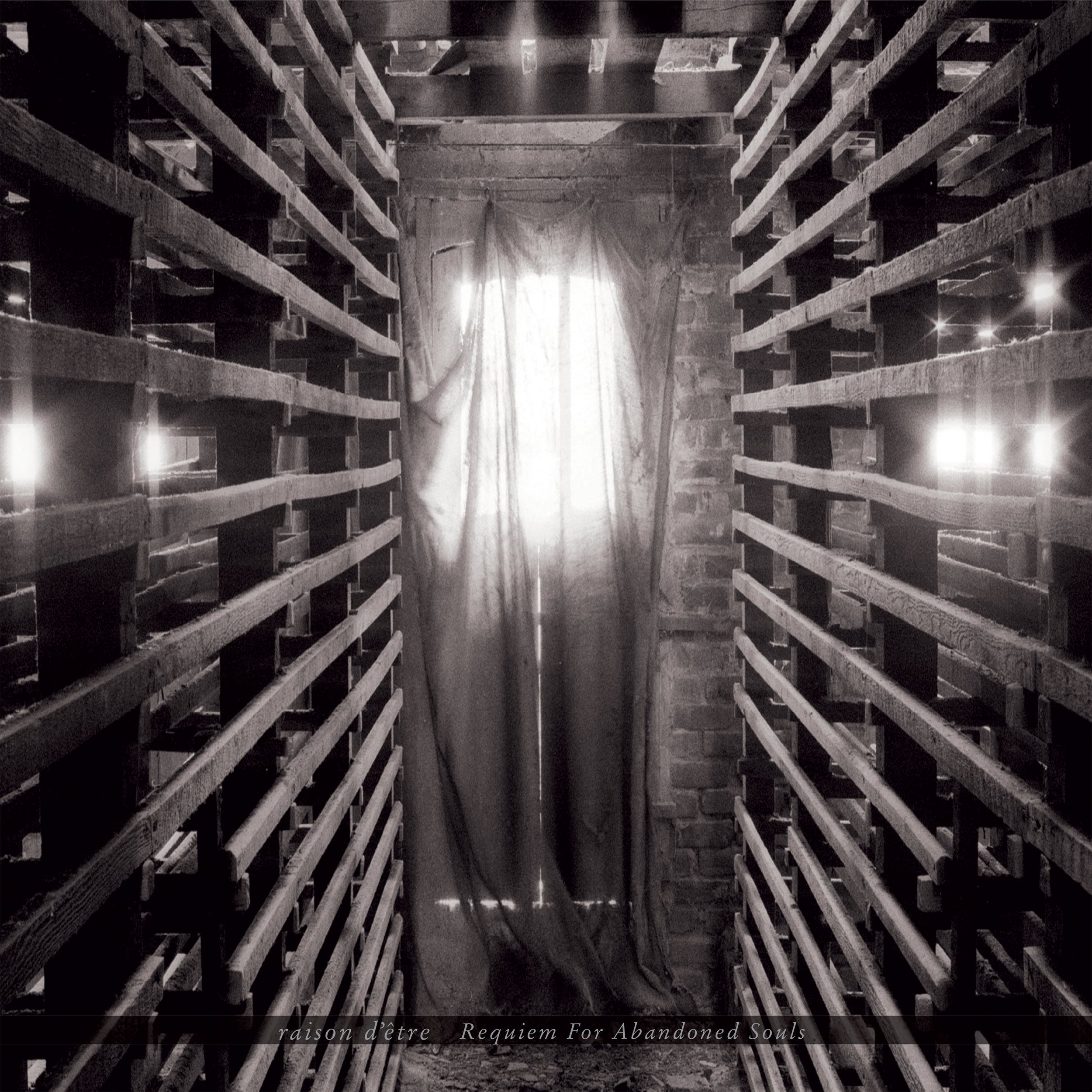 205thCycle_Raison-Detre_Requiem-For-Abandoned-Souls_2LP_cover.jpg