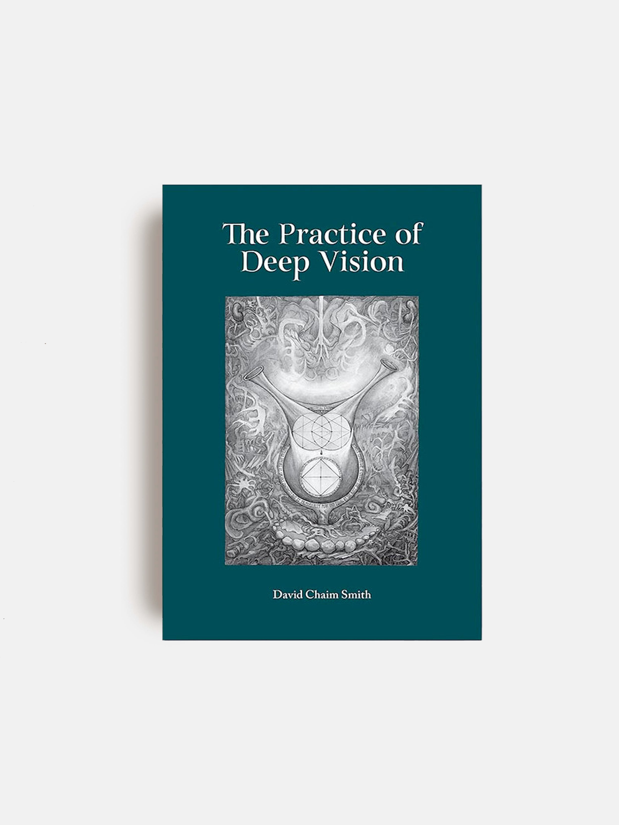 The Practice of Deep Vision