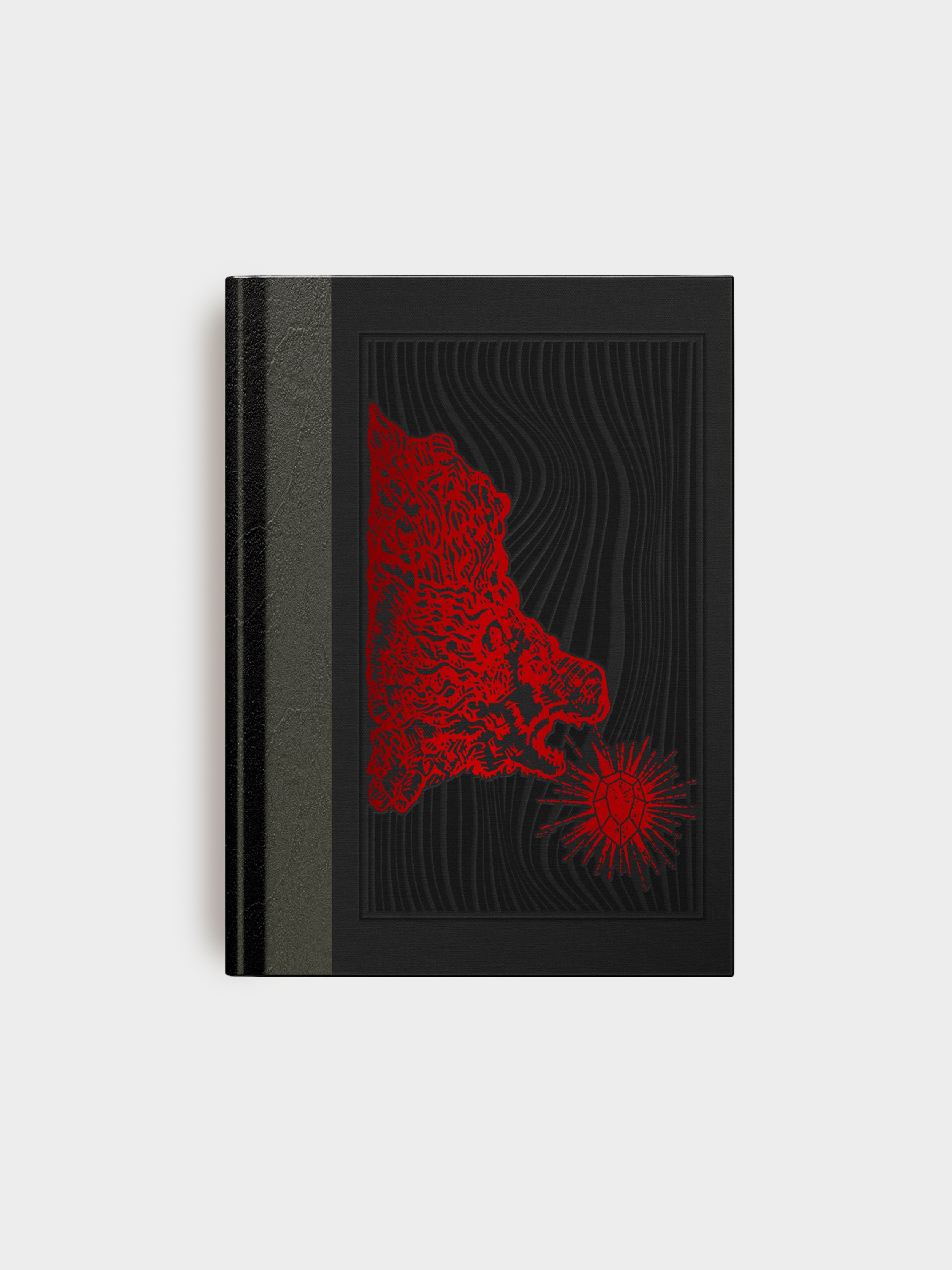 A-Ruby-Bright-As-Fire_Cover.jpeg